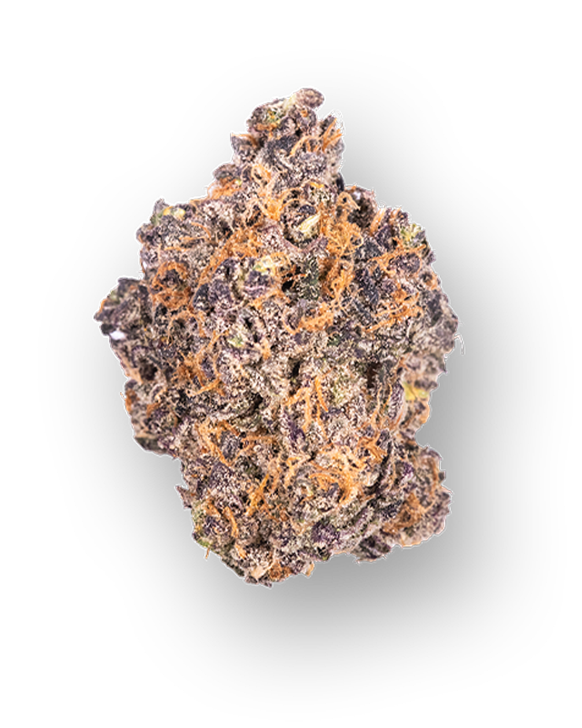 Nepali Blue Flower