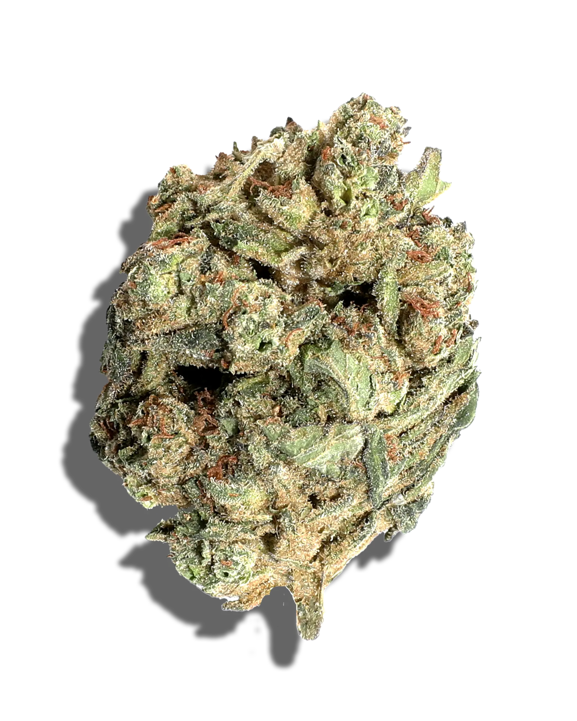 Sungrown Banana Zelato 3.5g