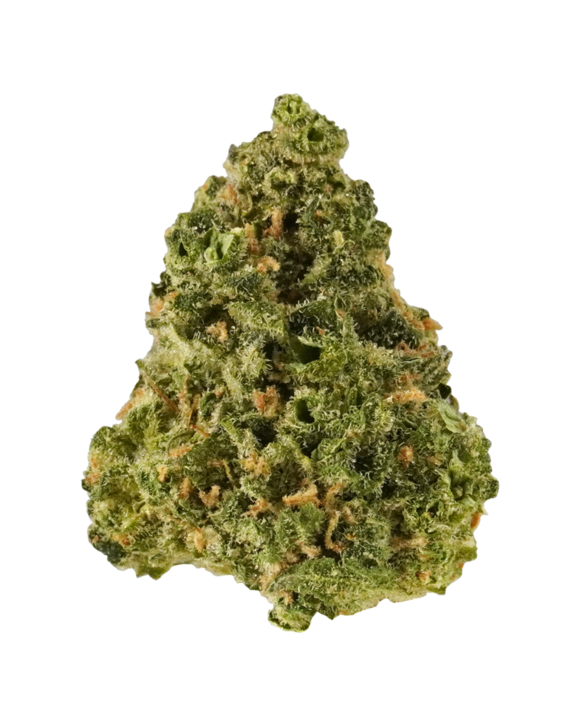 Durban Poison X Cindy 99 Flower