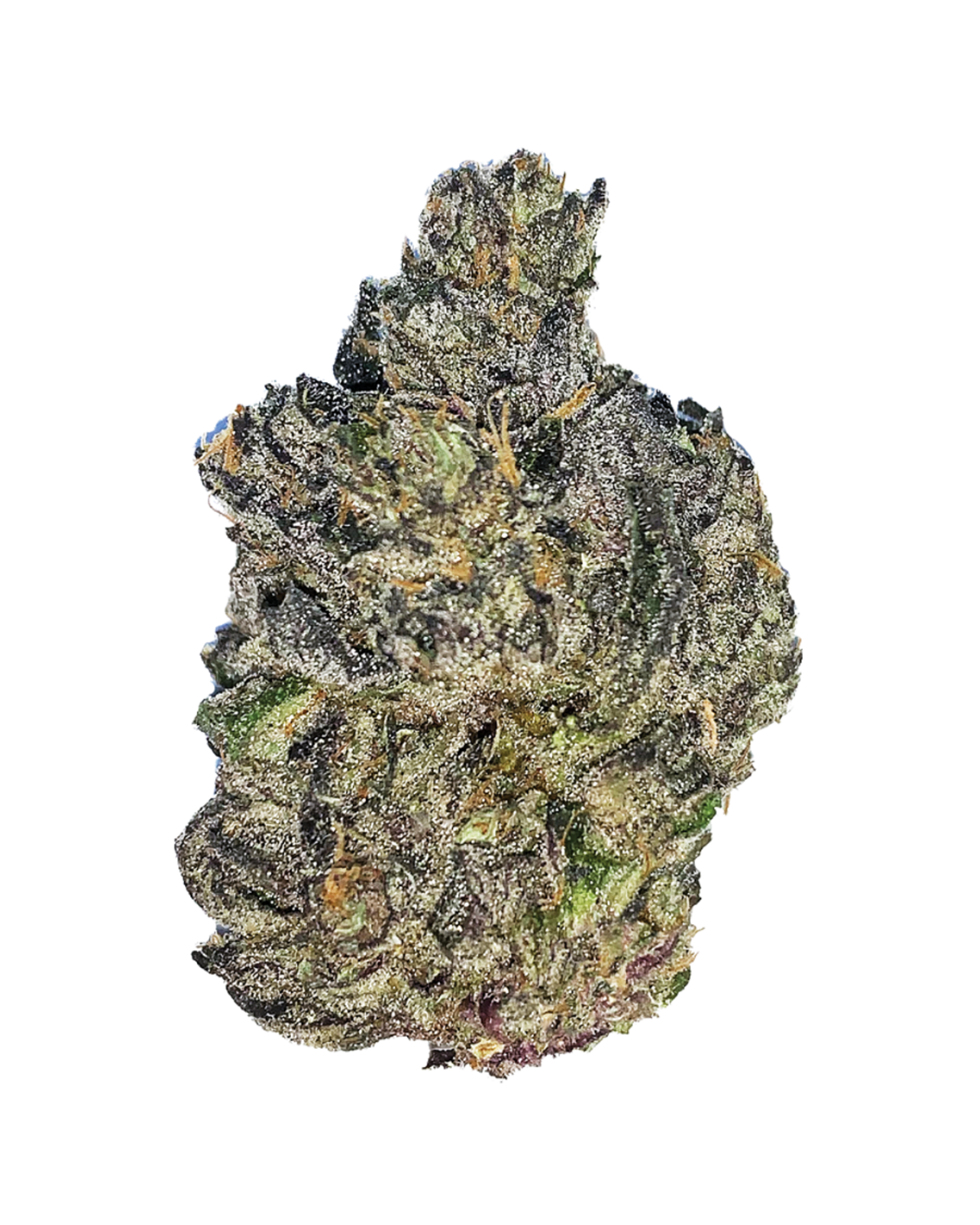 Gelato 41 Flower