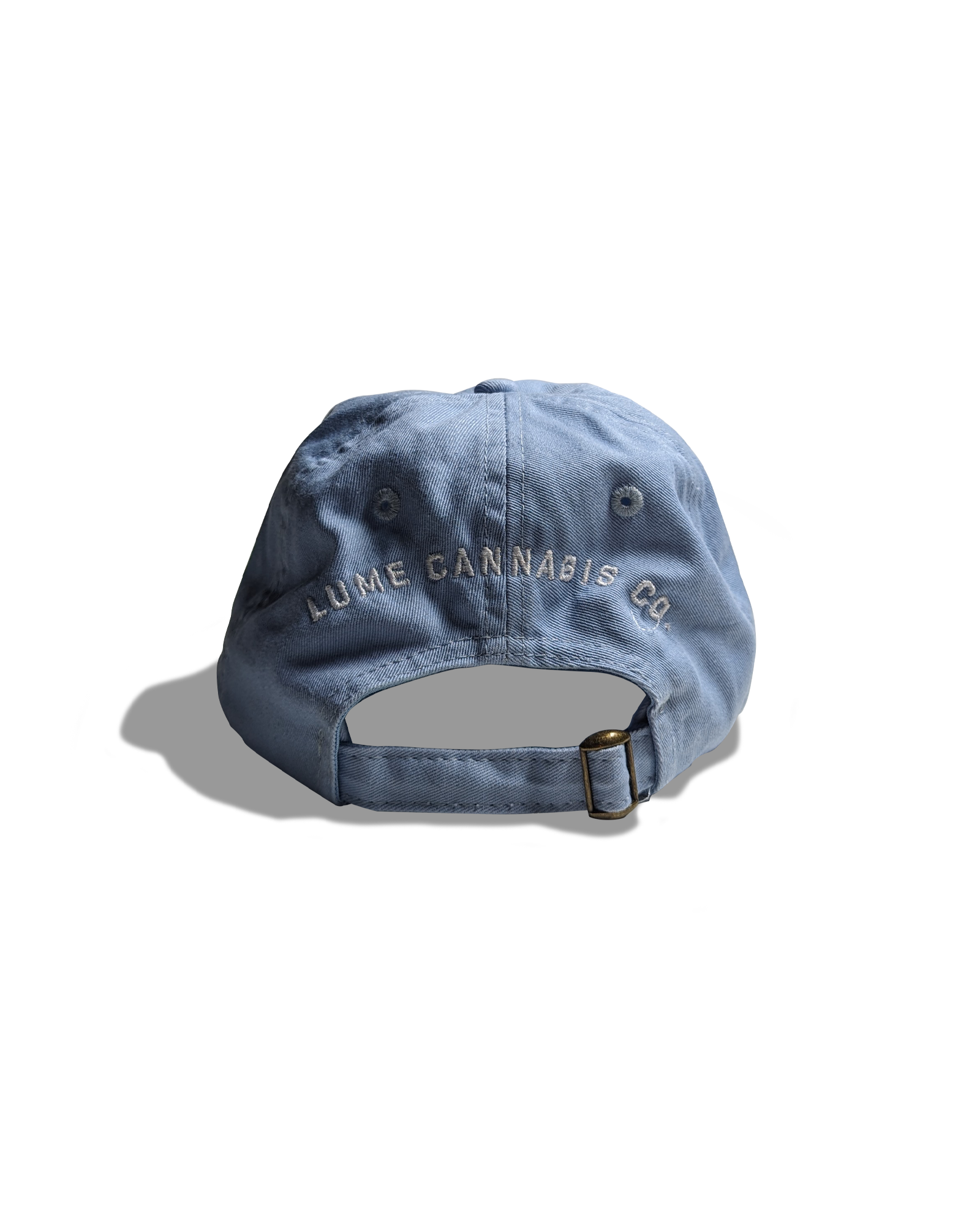 Dad Hat (blue), 3 of 4