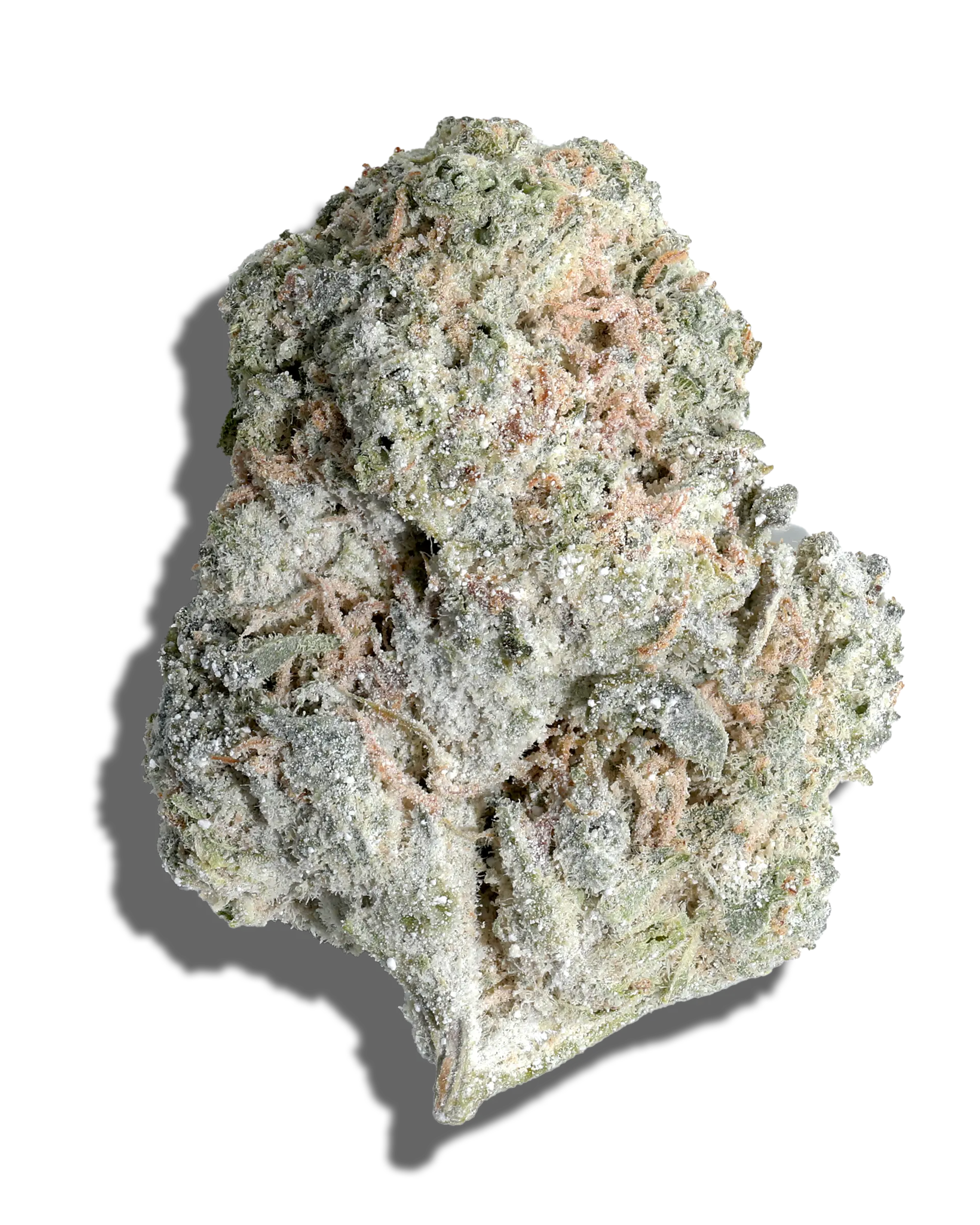 Bobby Wild X Peyote Critical Amp'd Live Resin Infused Flower 5g