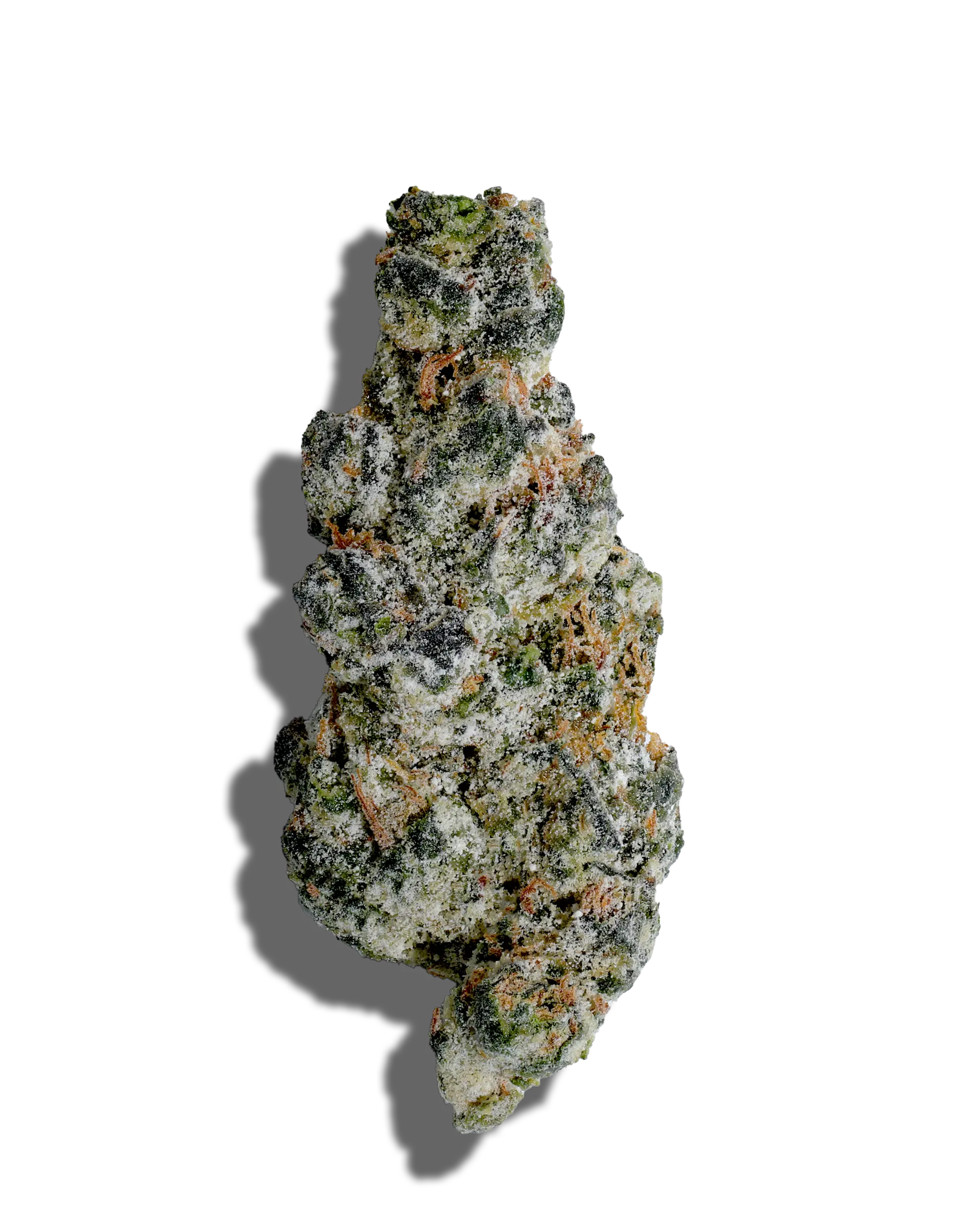 GMO Cookies X GMO Cookies Amp'd Live Resin Infused Flower 5g