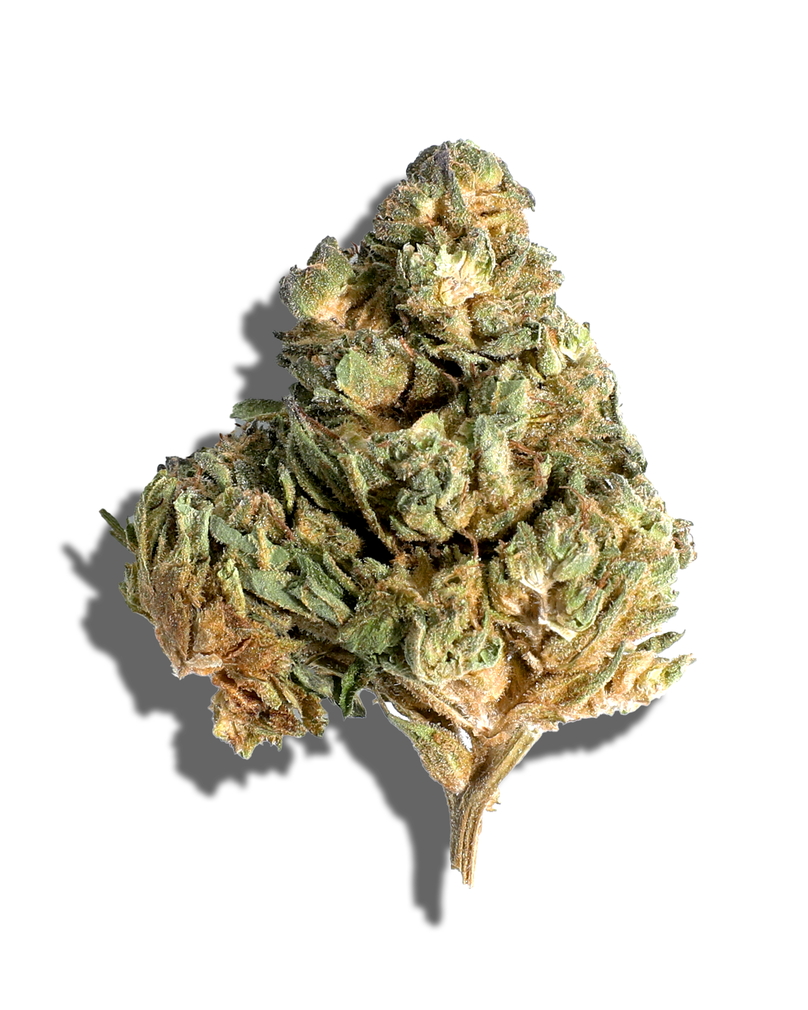 Sungrown Apple Jack 3.5g, 1 of 3