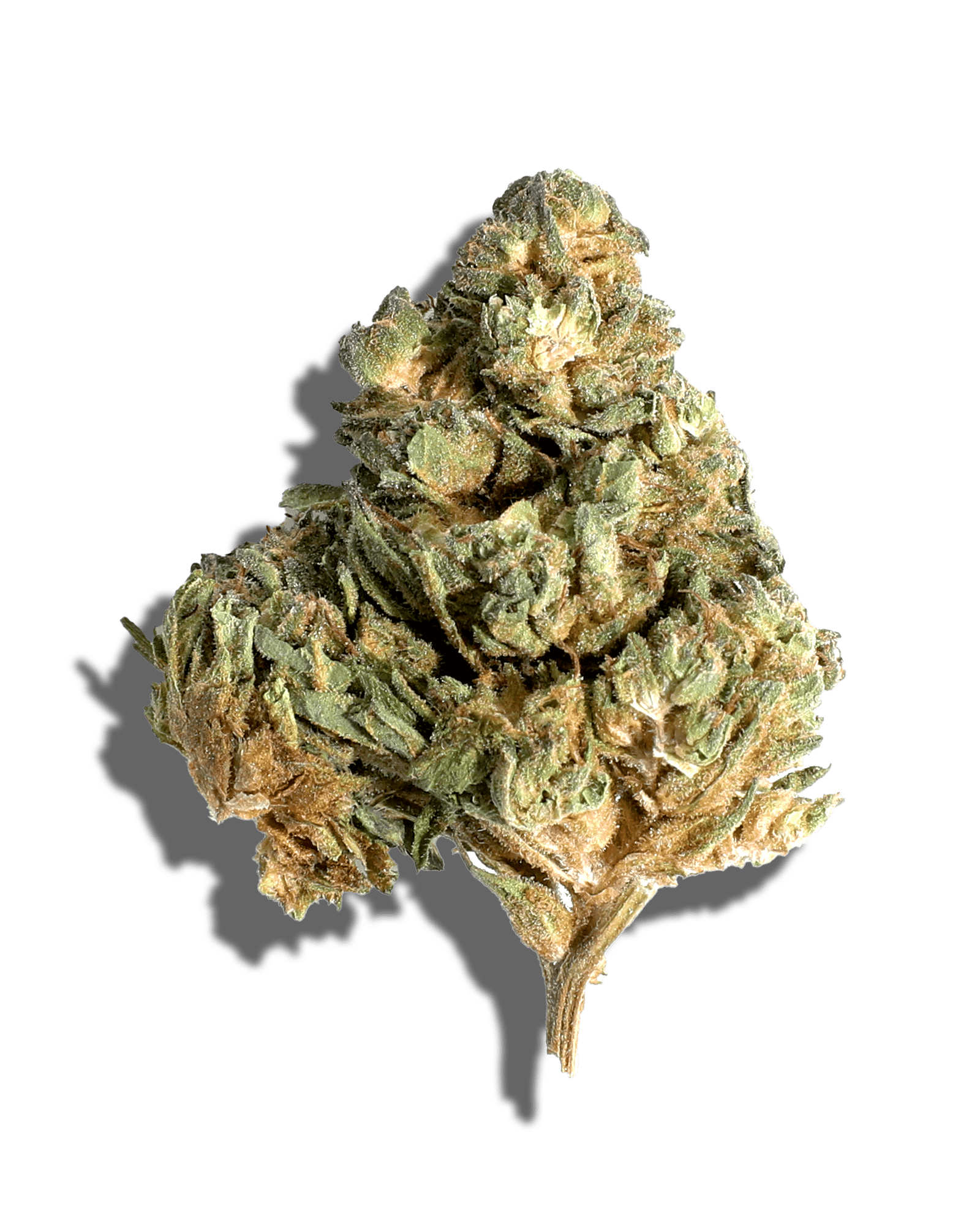 Sungrown Apple Jack 3.5g