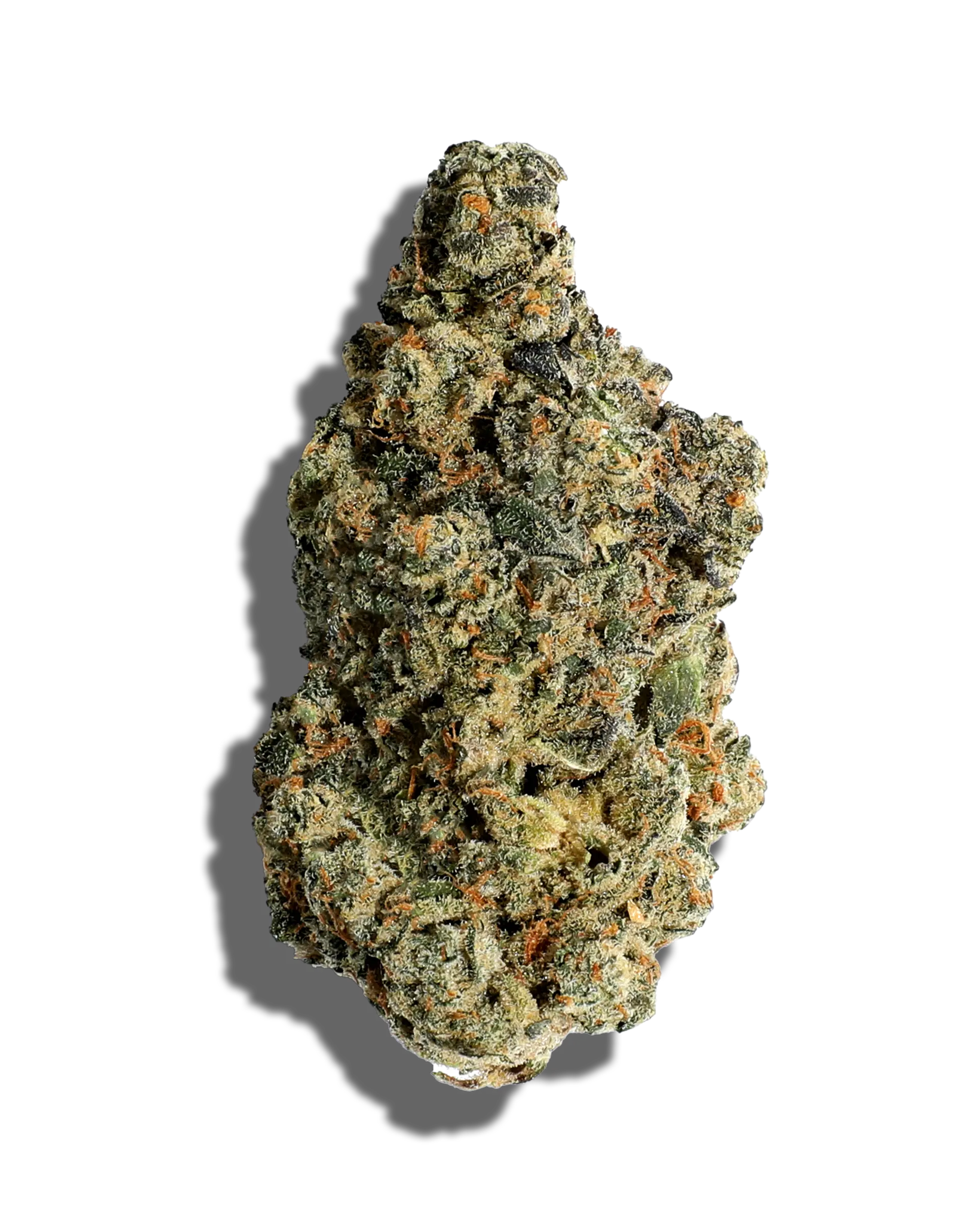 Guava Tart 3.5g
