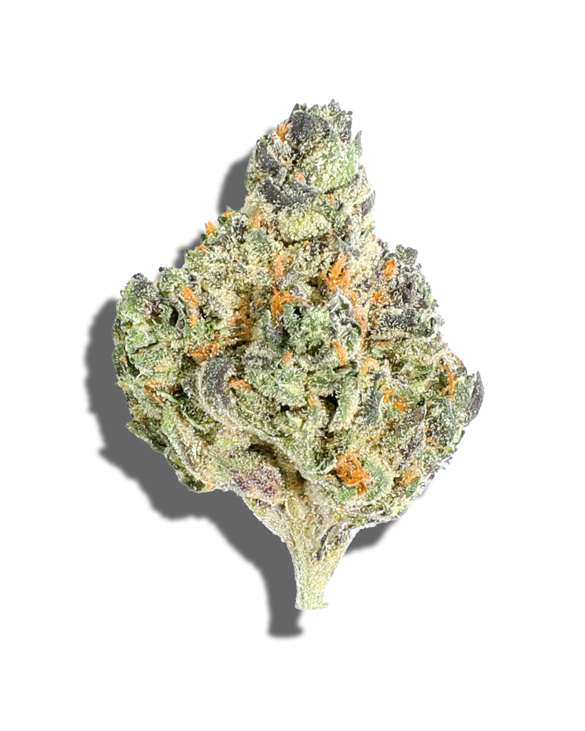 Alpha Dog 3.5g