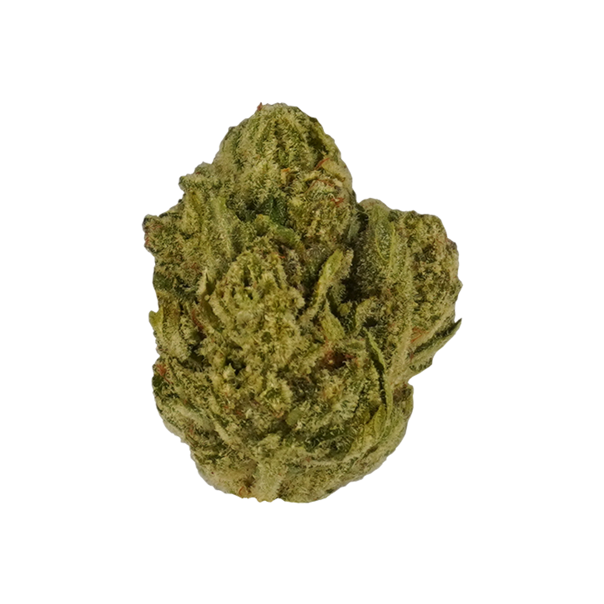 Garlic Breath Flower