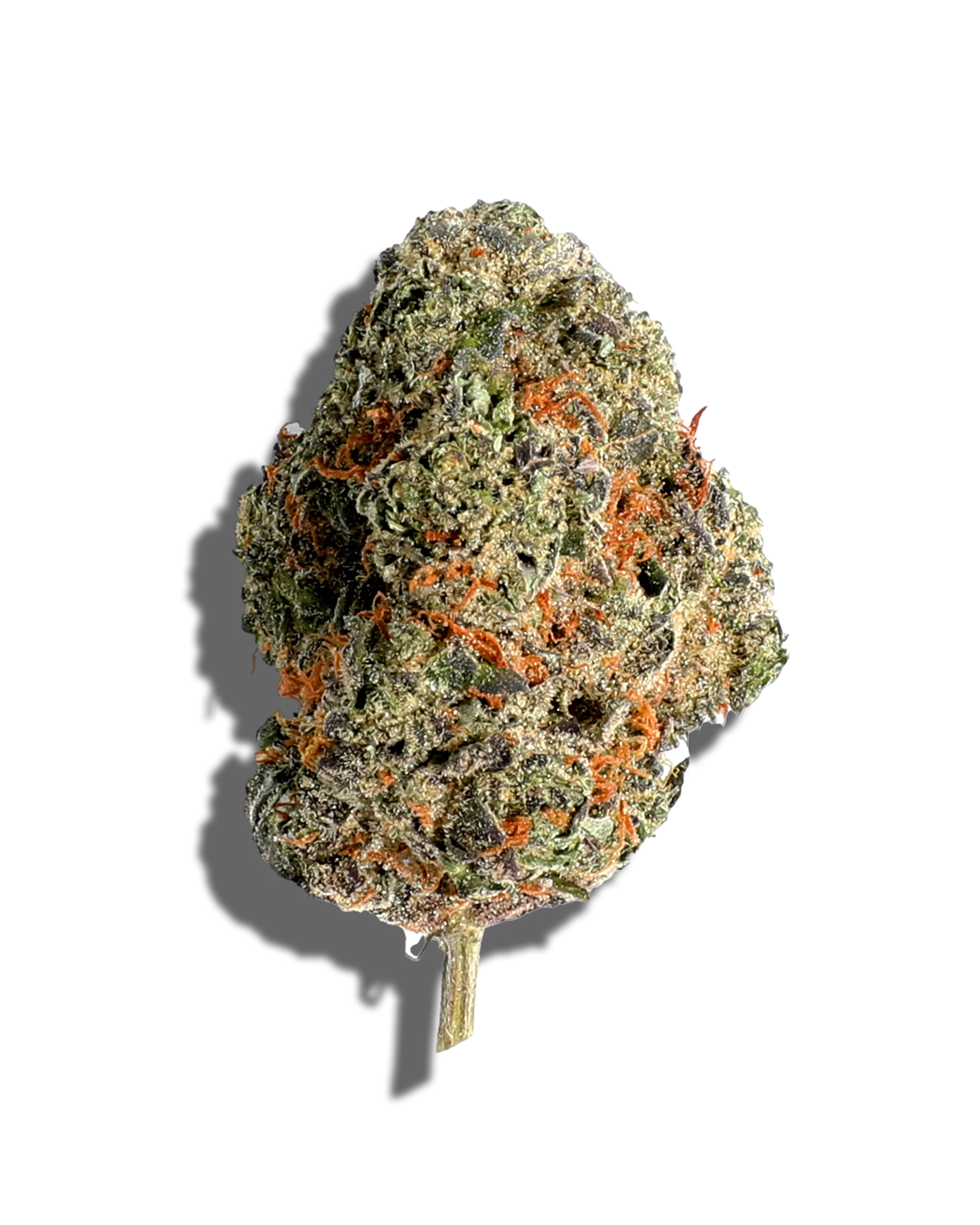 Gastro Pop 1oz