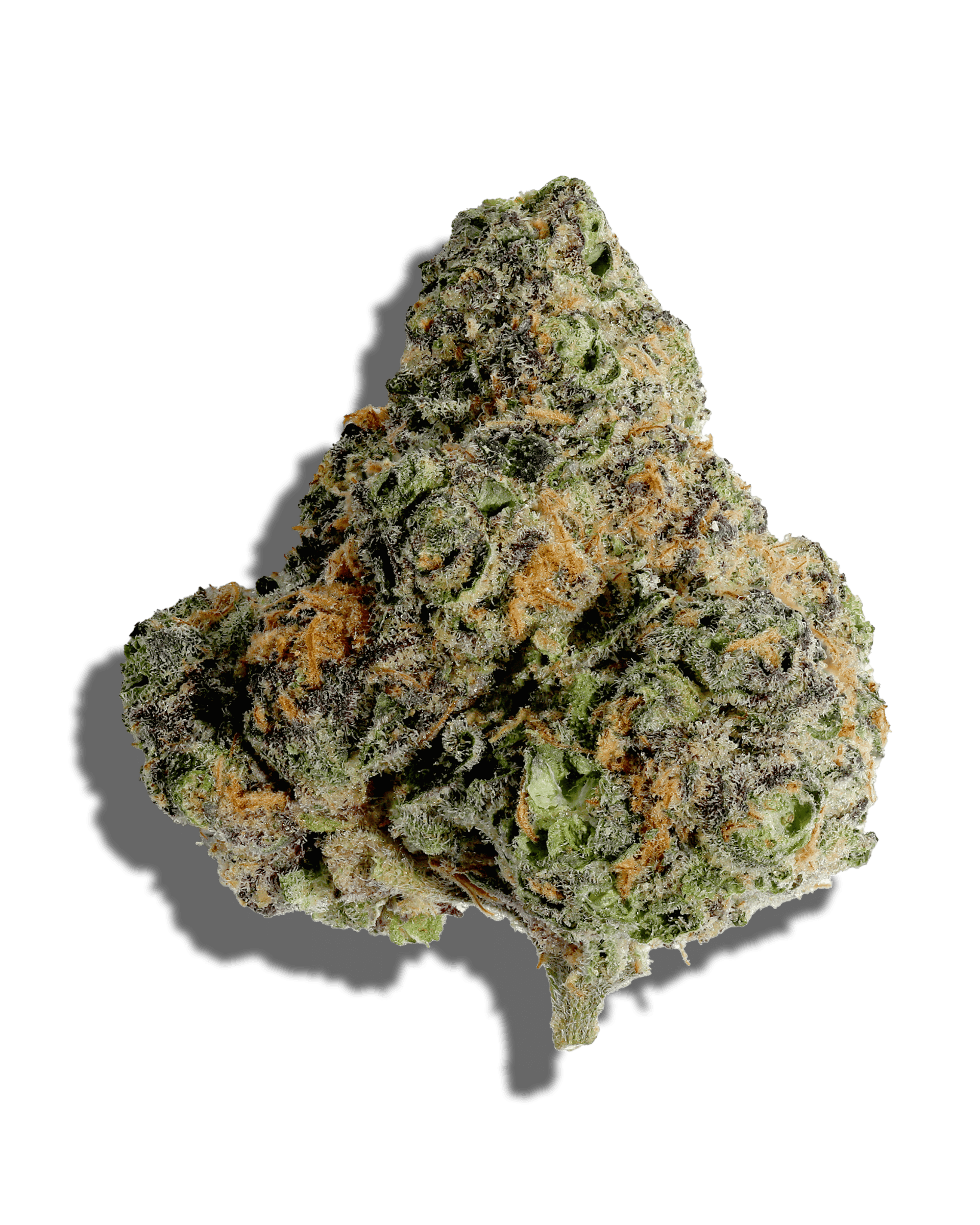 Gary Satan 1oz