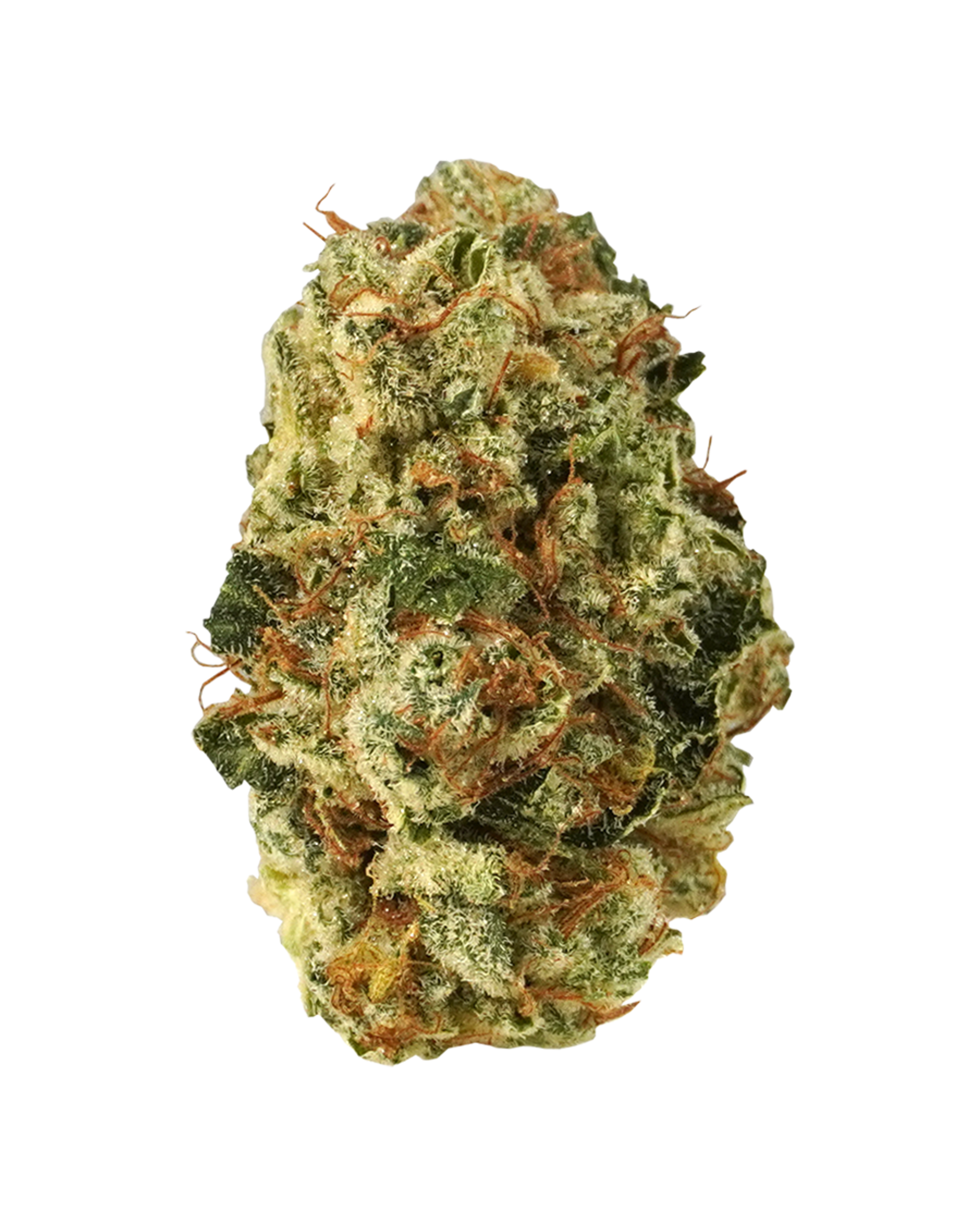 Snowball Flower