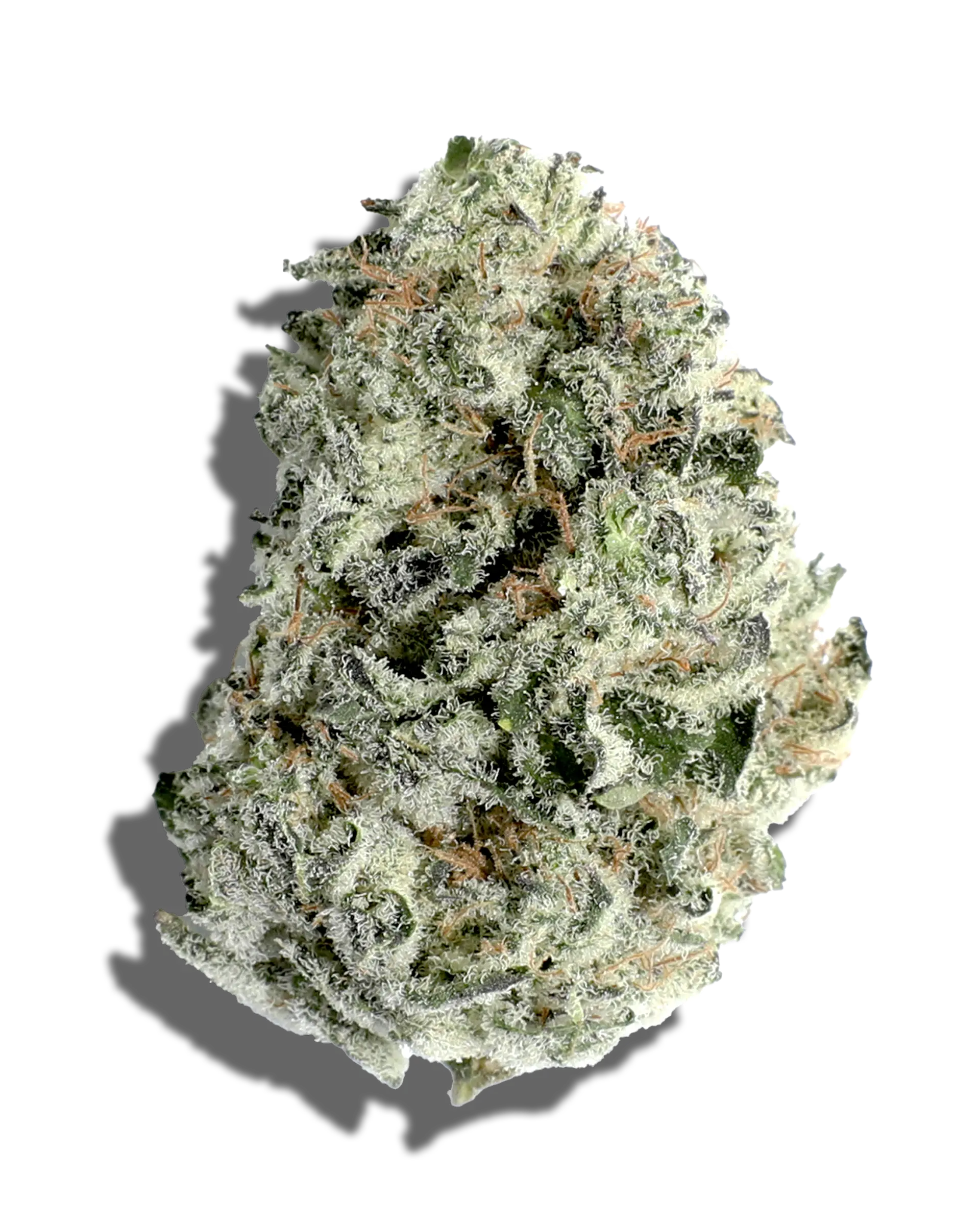 Blueberry Sugar 3.5g