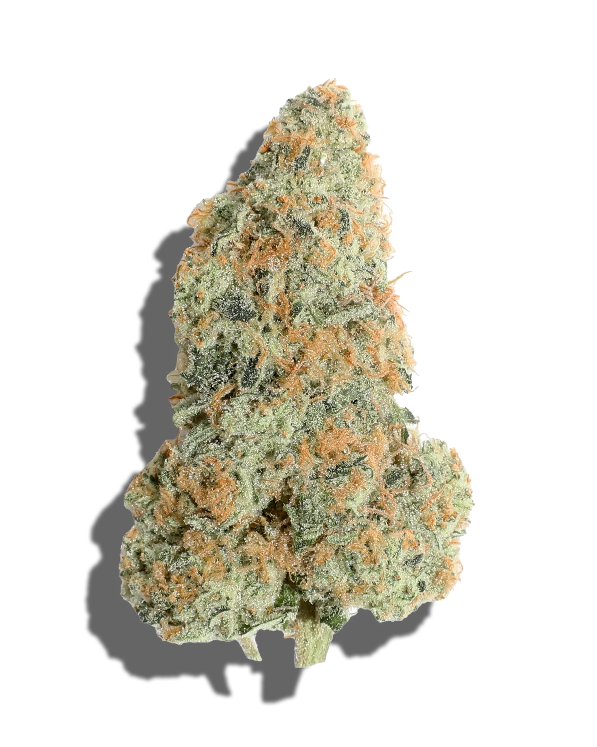 Double Dog 1oz
