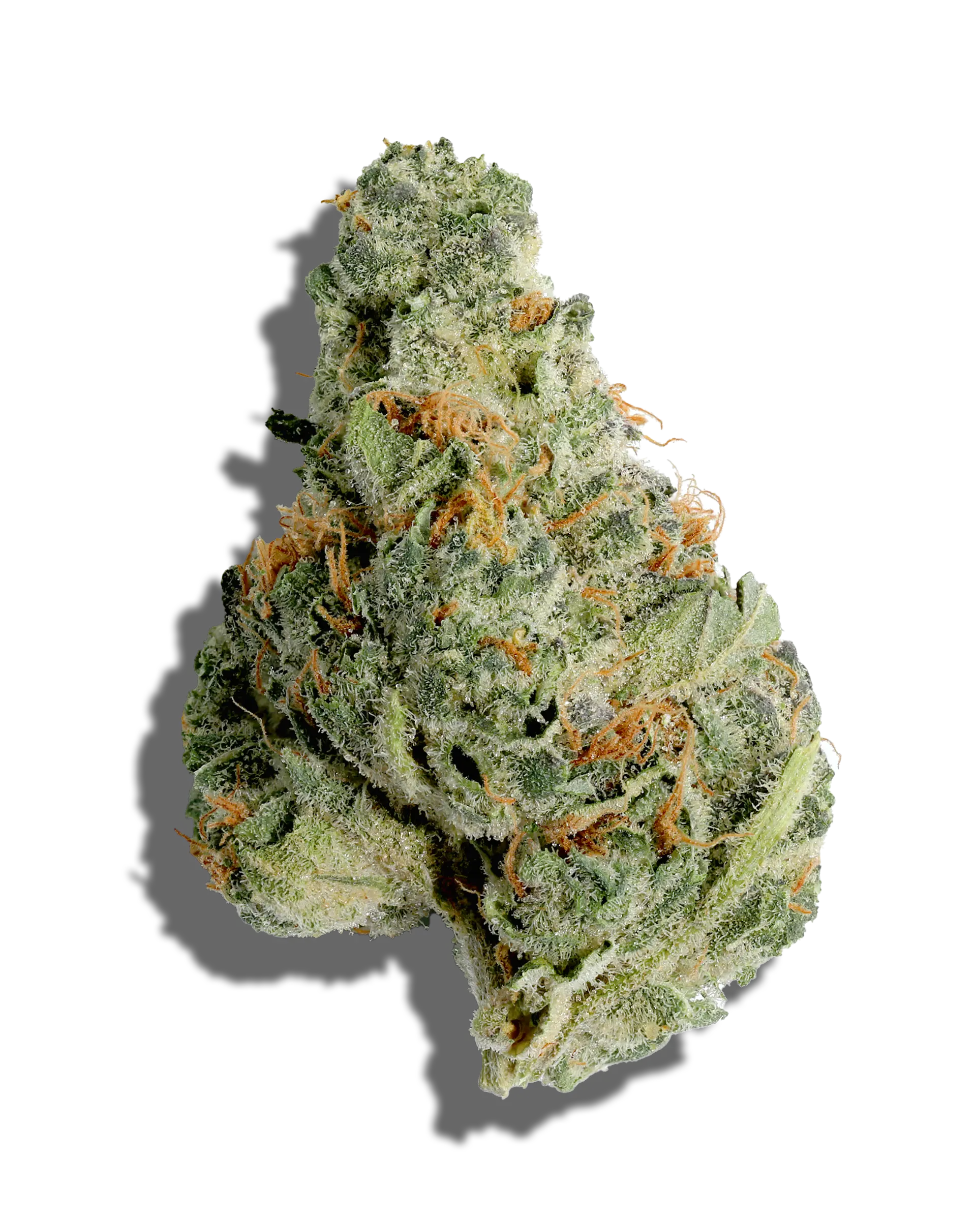 Vanilla Gorilla 1oz