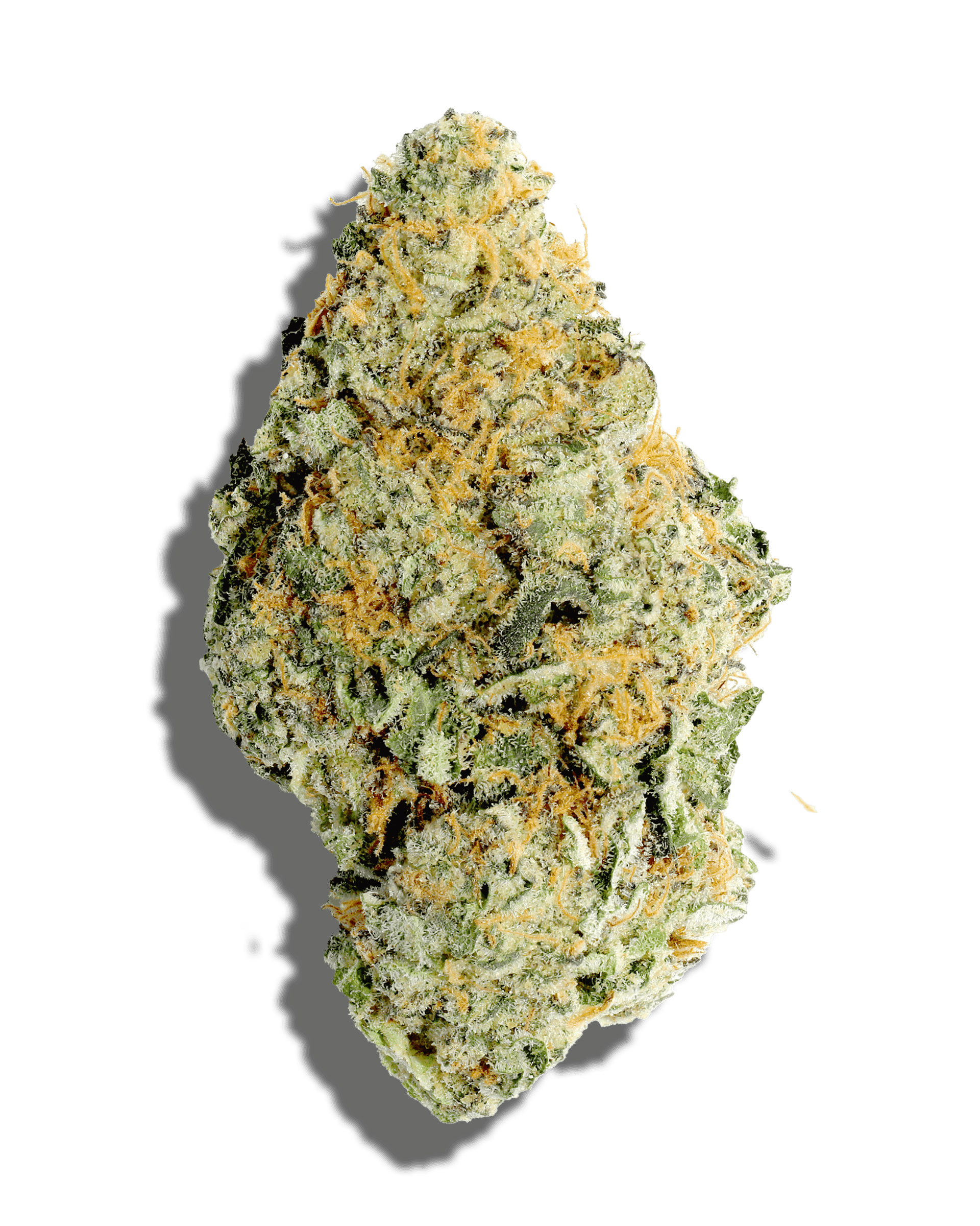 Zest Mints 3.5g