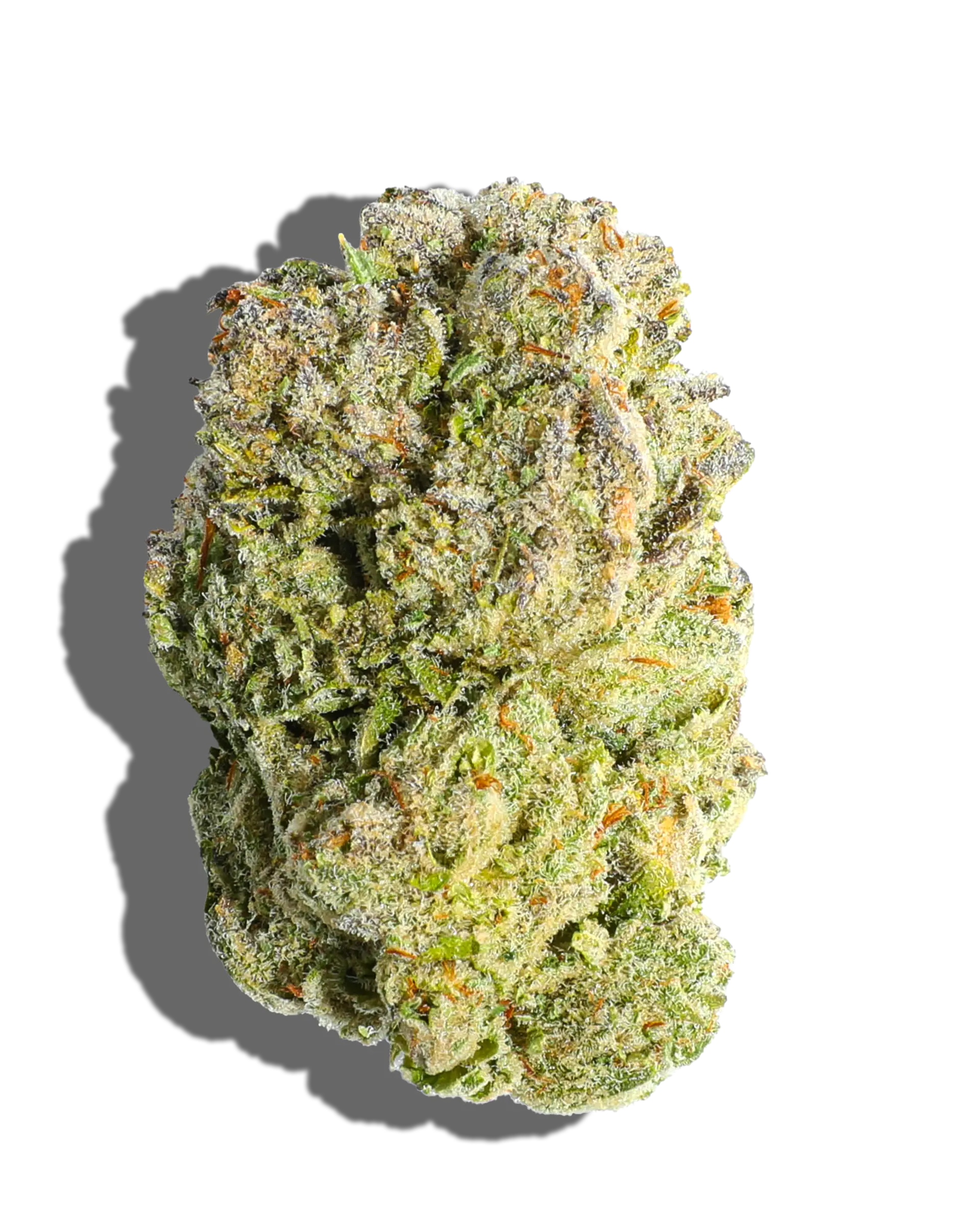 Garlic Breath 3.5g