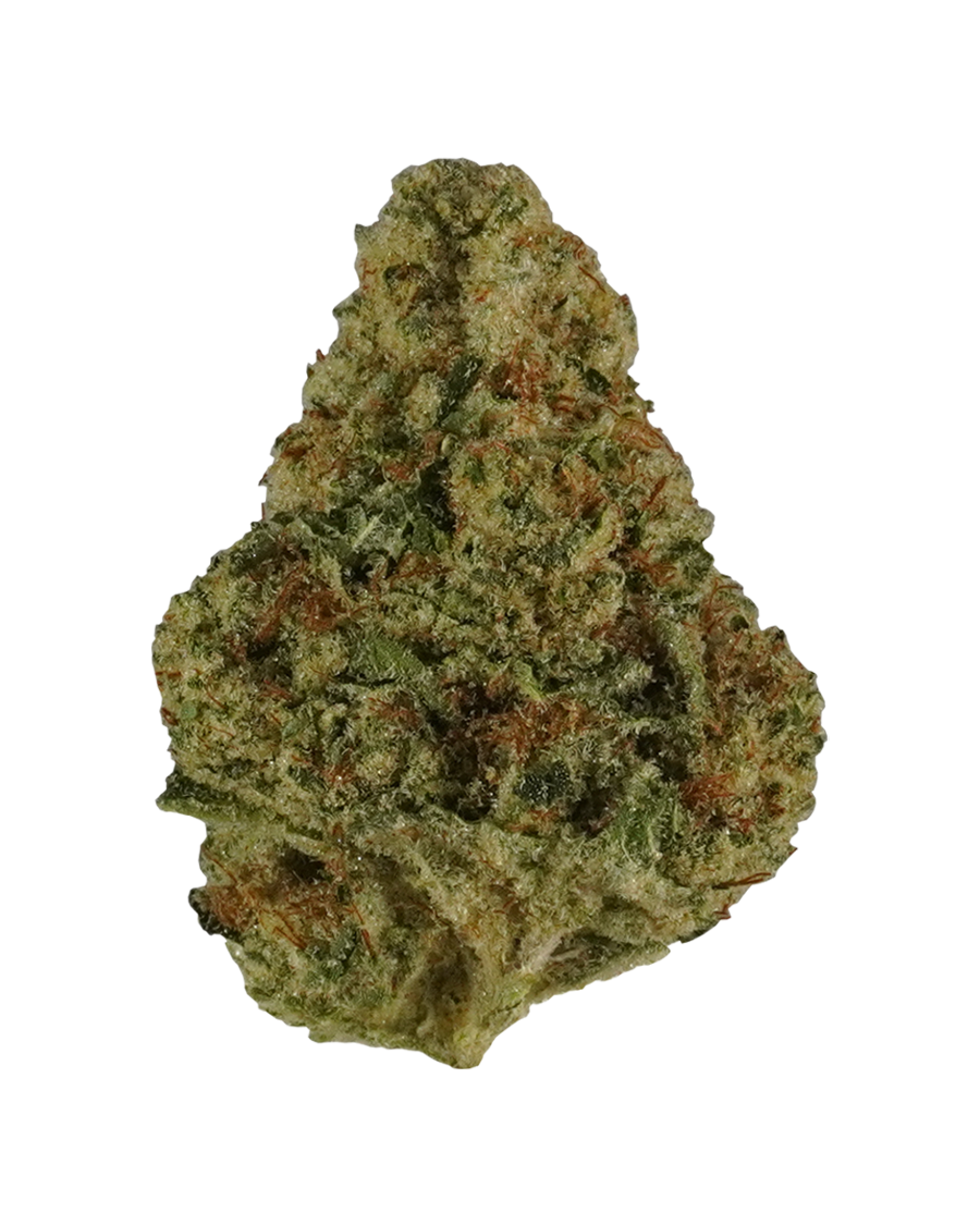 Motorbreath Flower