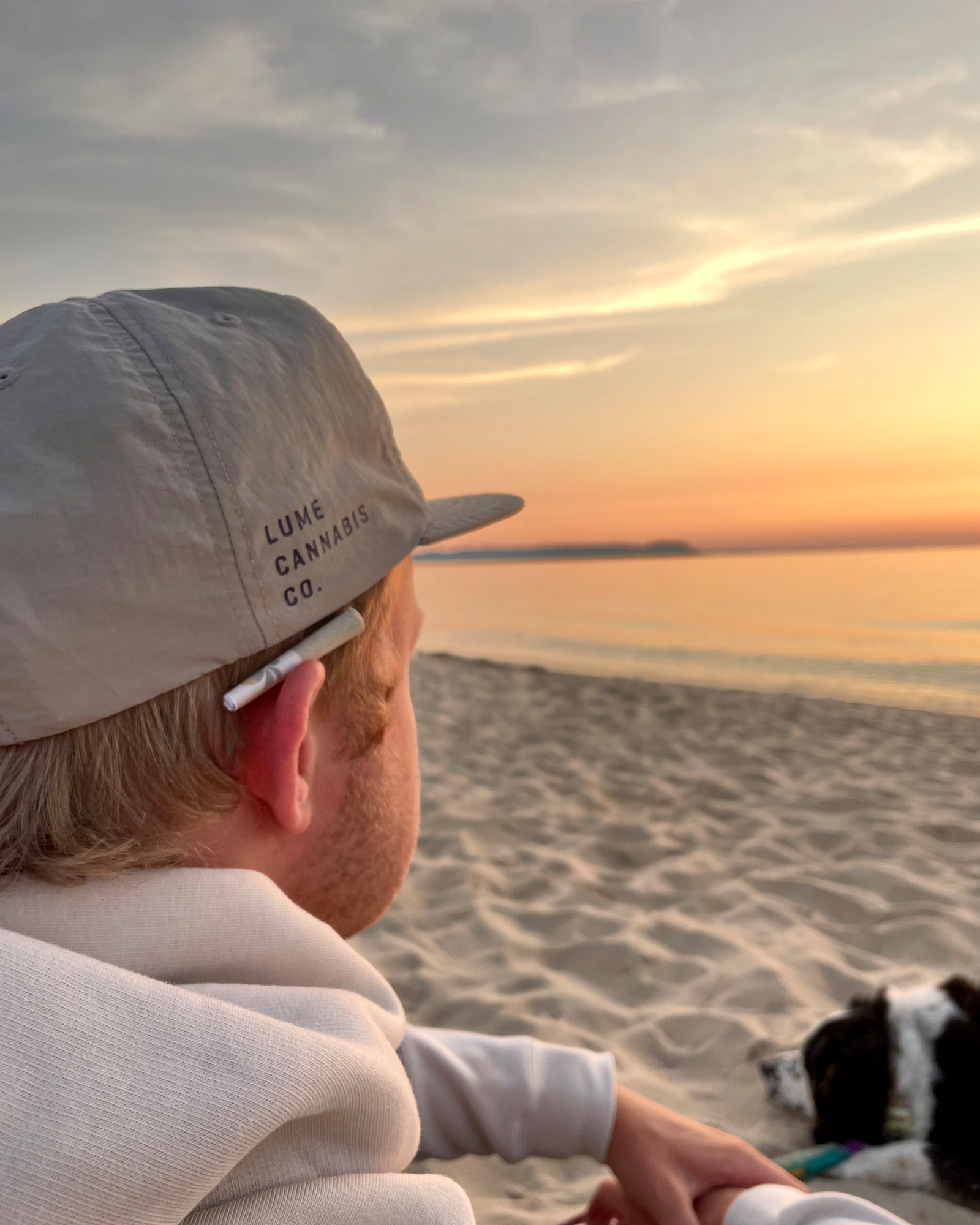 Surfer Cap (mushroom), 3 of 3