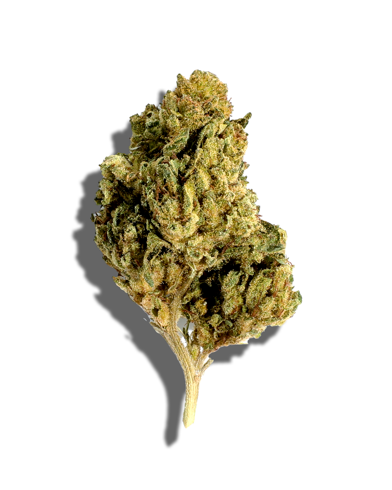 Sungrown Hip Hop Kush 1oz, 1 of 3