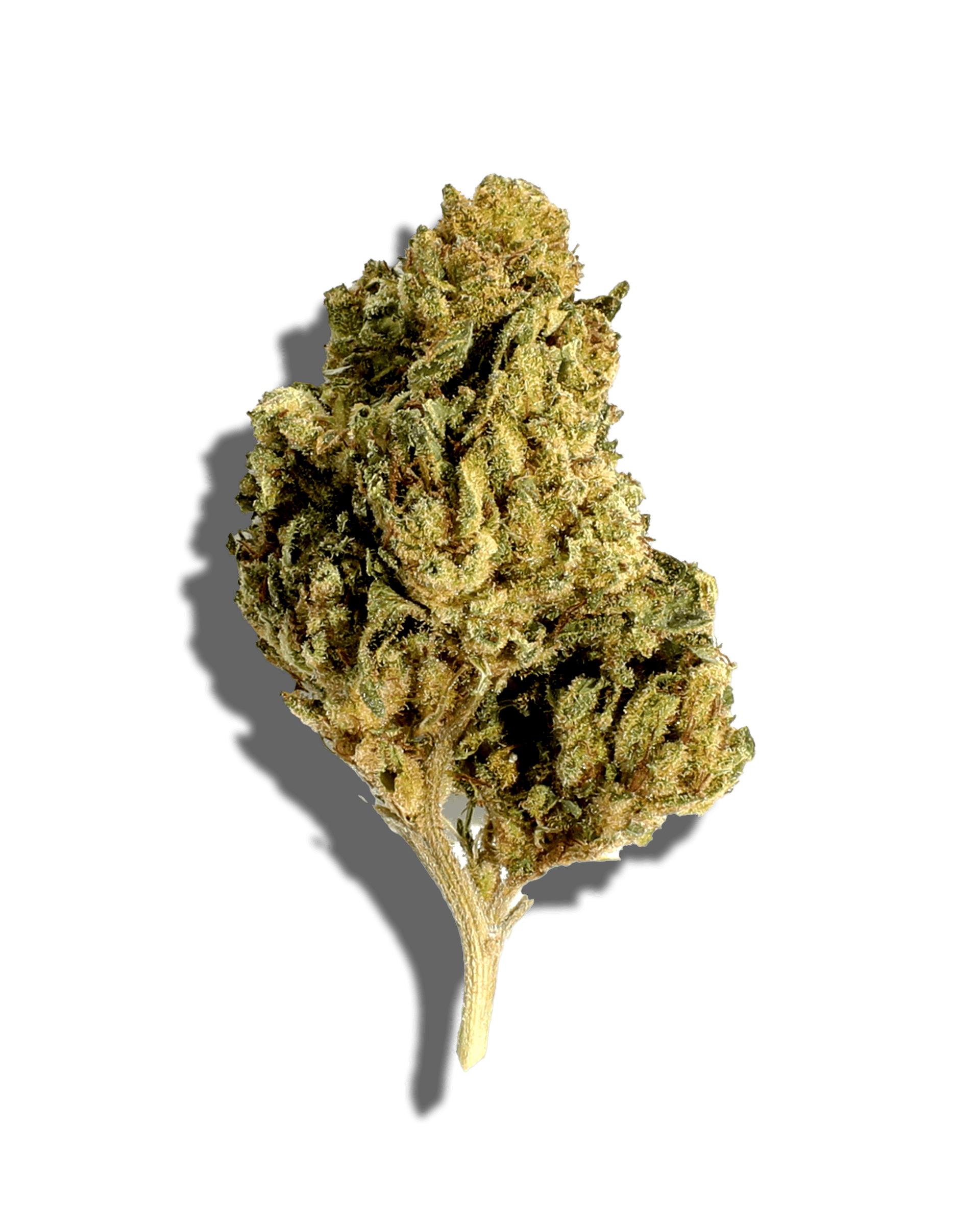 Sungrown Hip Hop Kush 1oz
