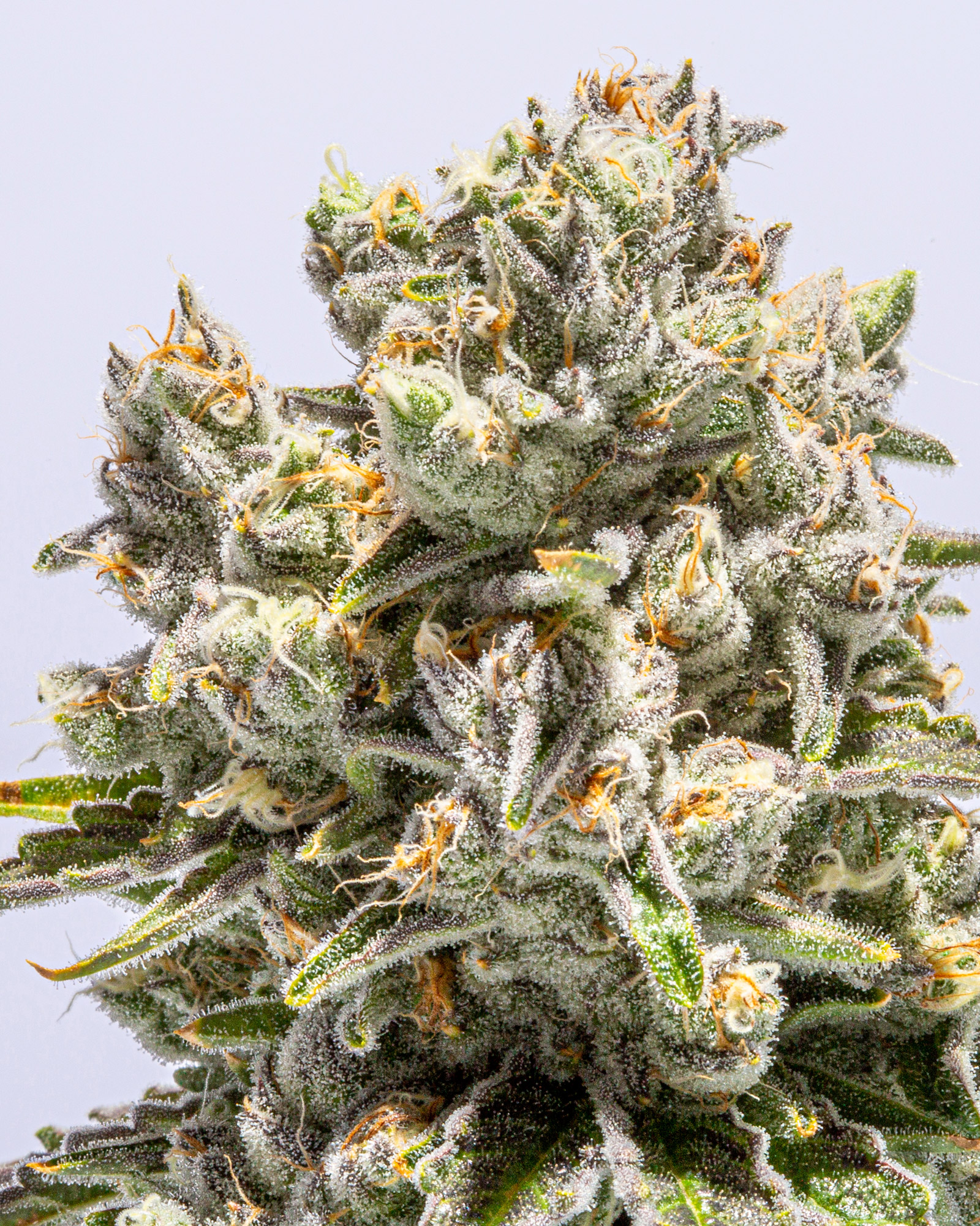 Deep Breath 3.5g, 3 of 4