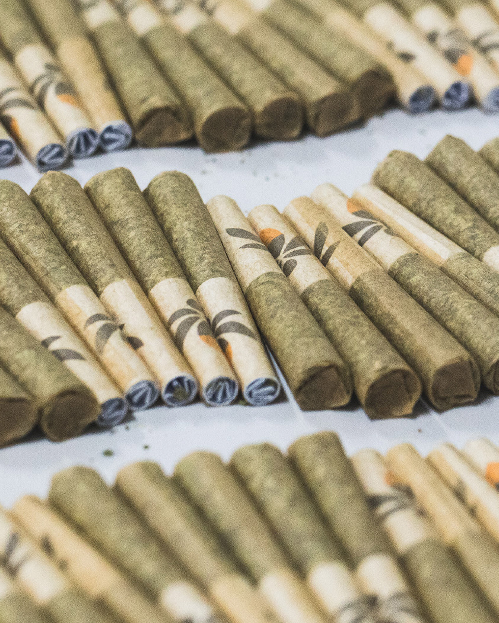 Trop Cherry Preroll 5-pack, 3 of 4