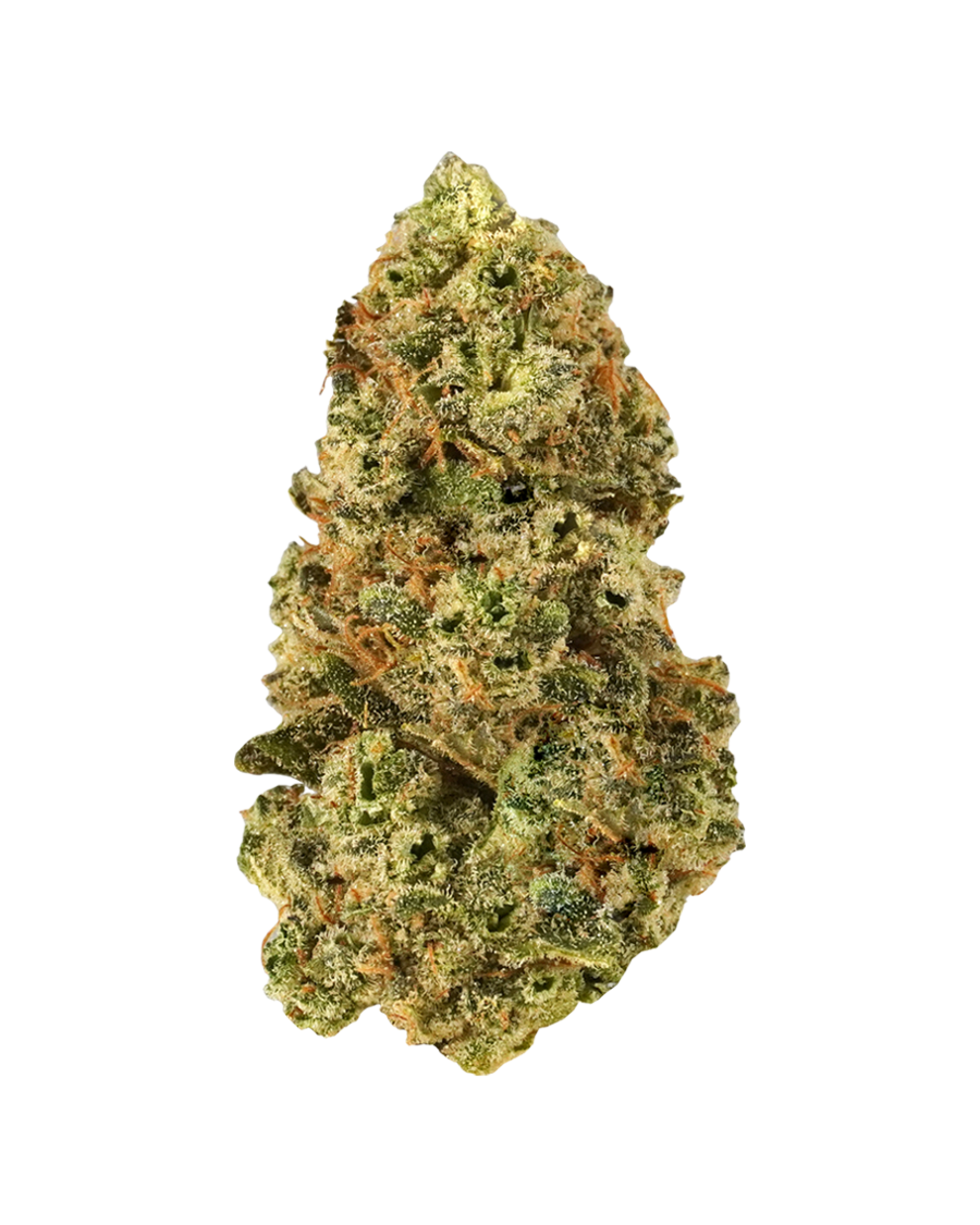 Royal Blue Cheese Flower