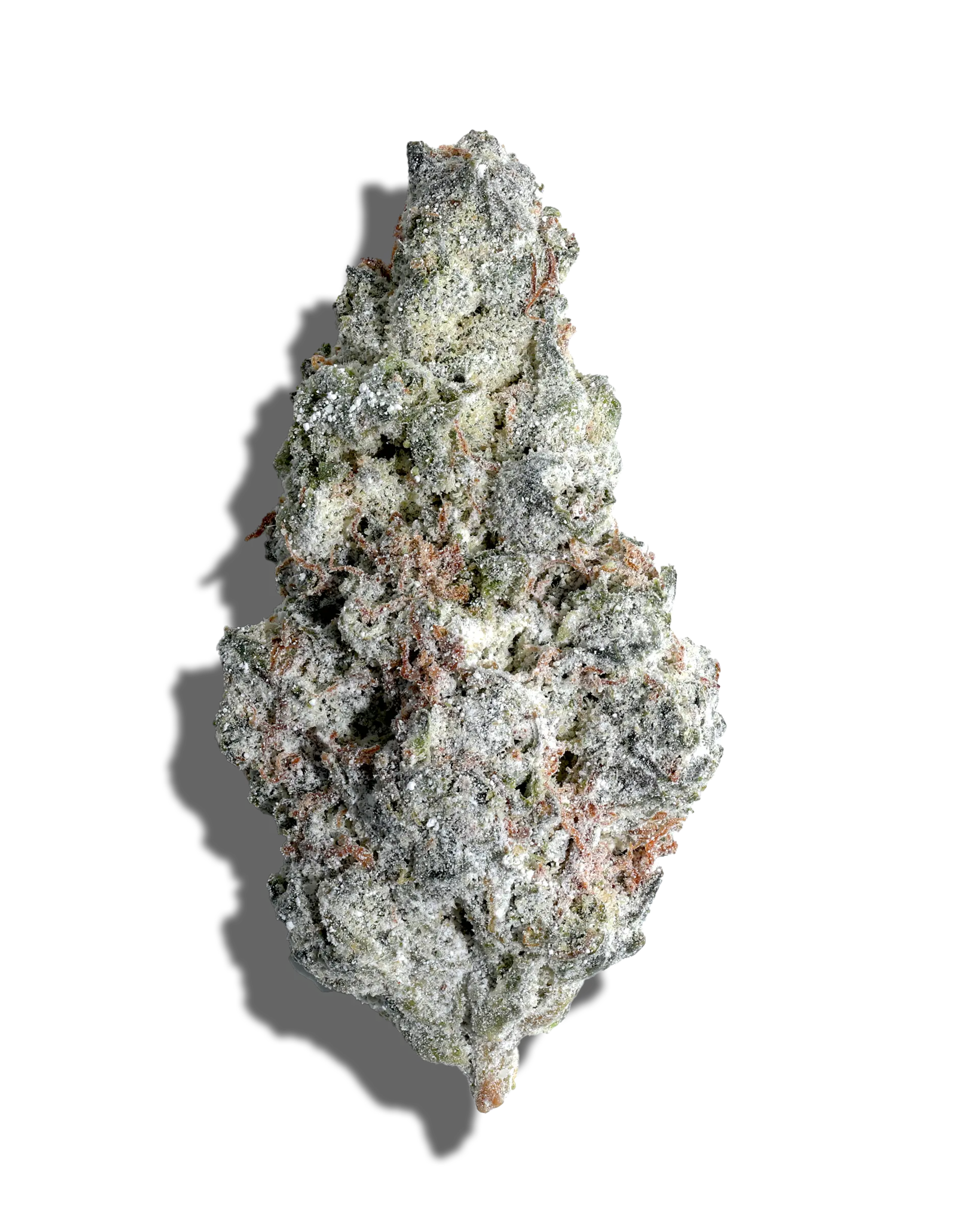 Bobby Wild X Golosa Amp'd Live Resin Infused Flower 5g