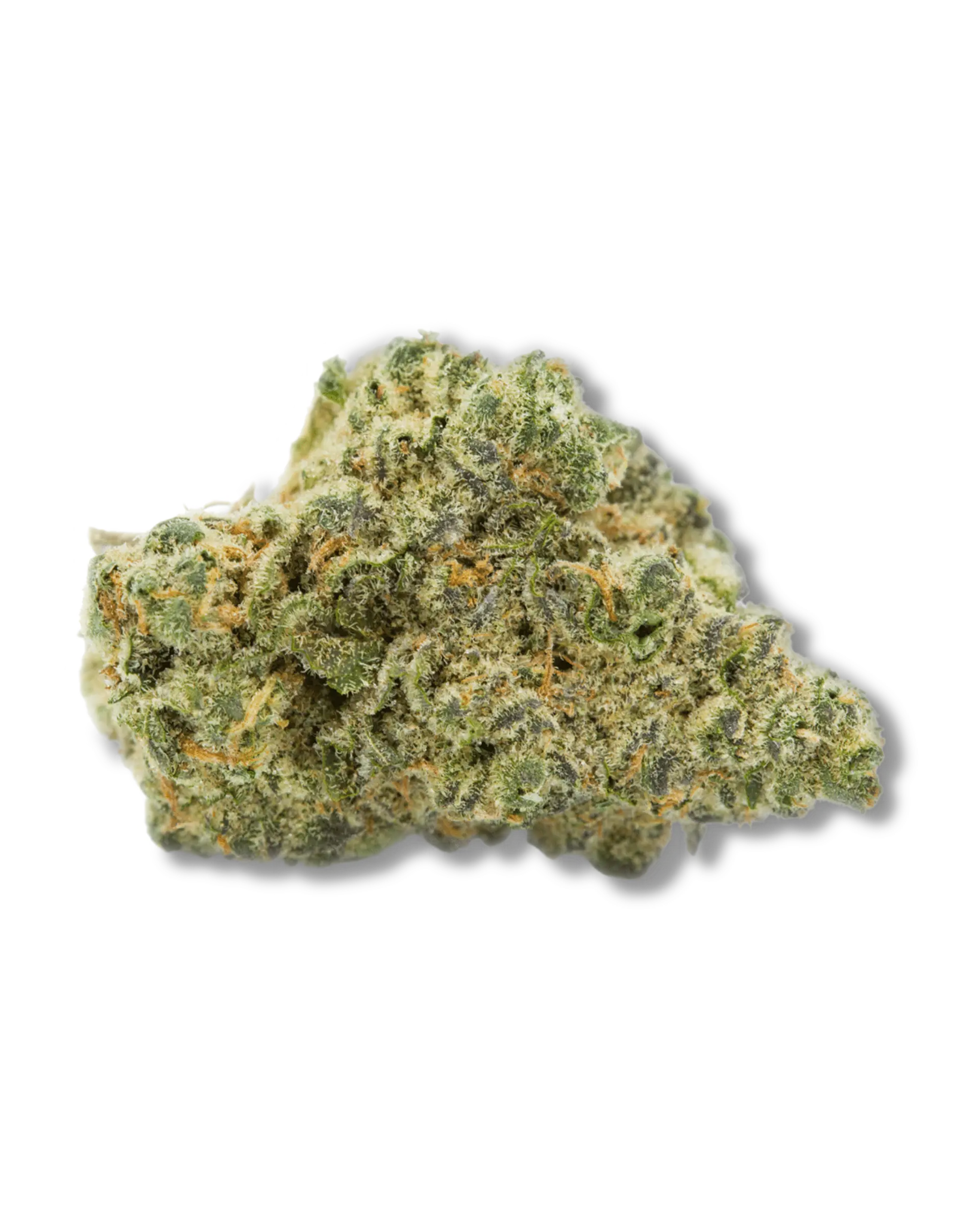 Rainbow Zlz Flower