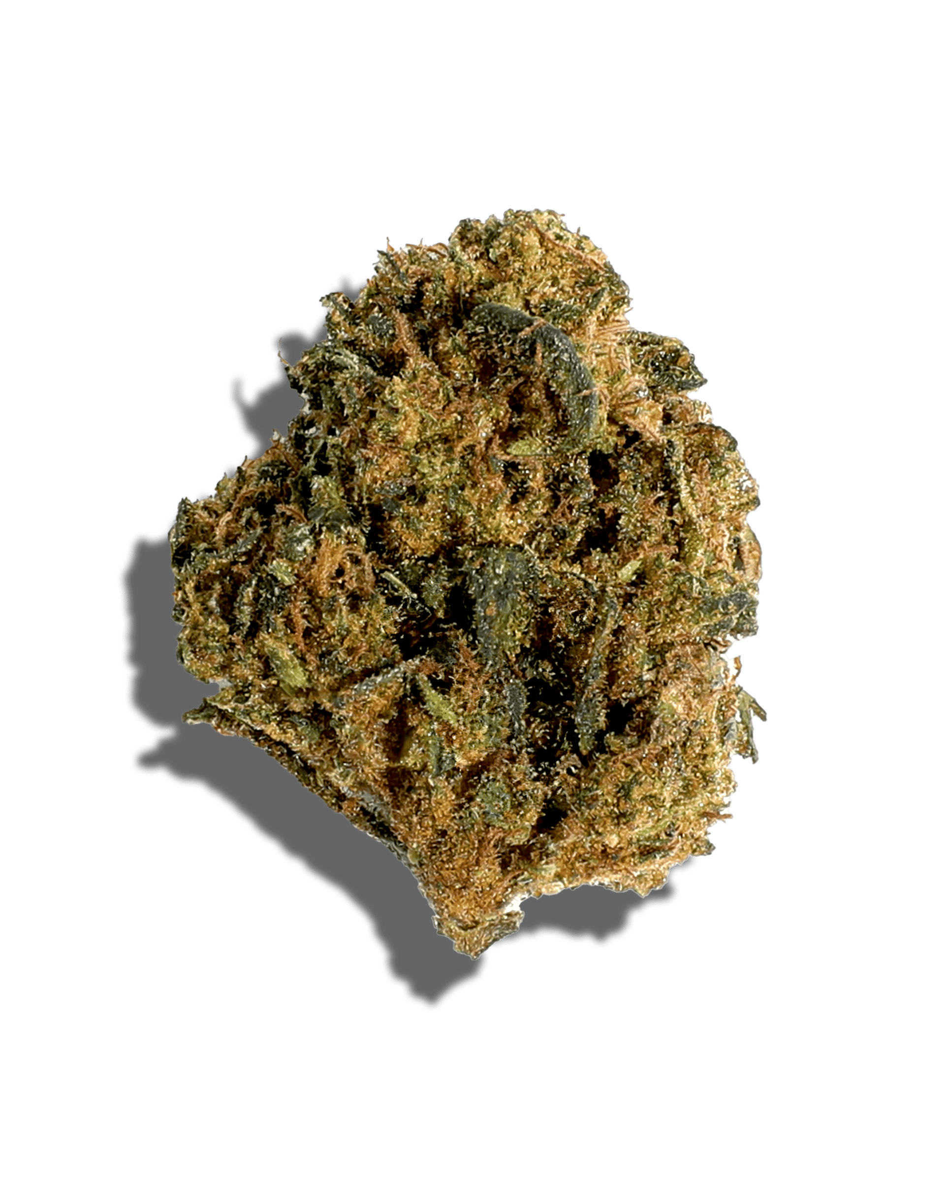 Sungrown Tangie Banangie 3.5g