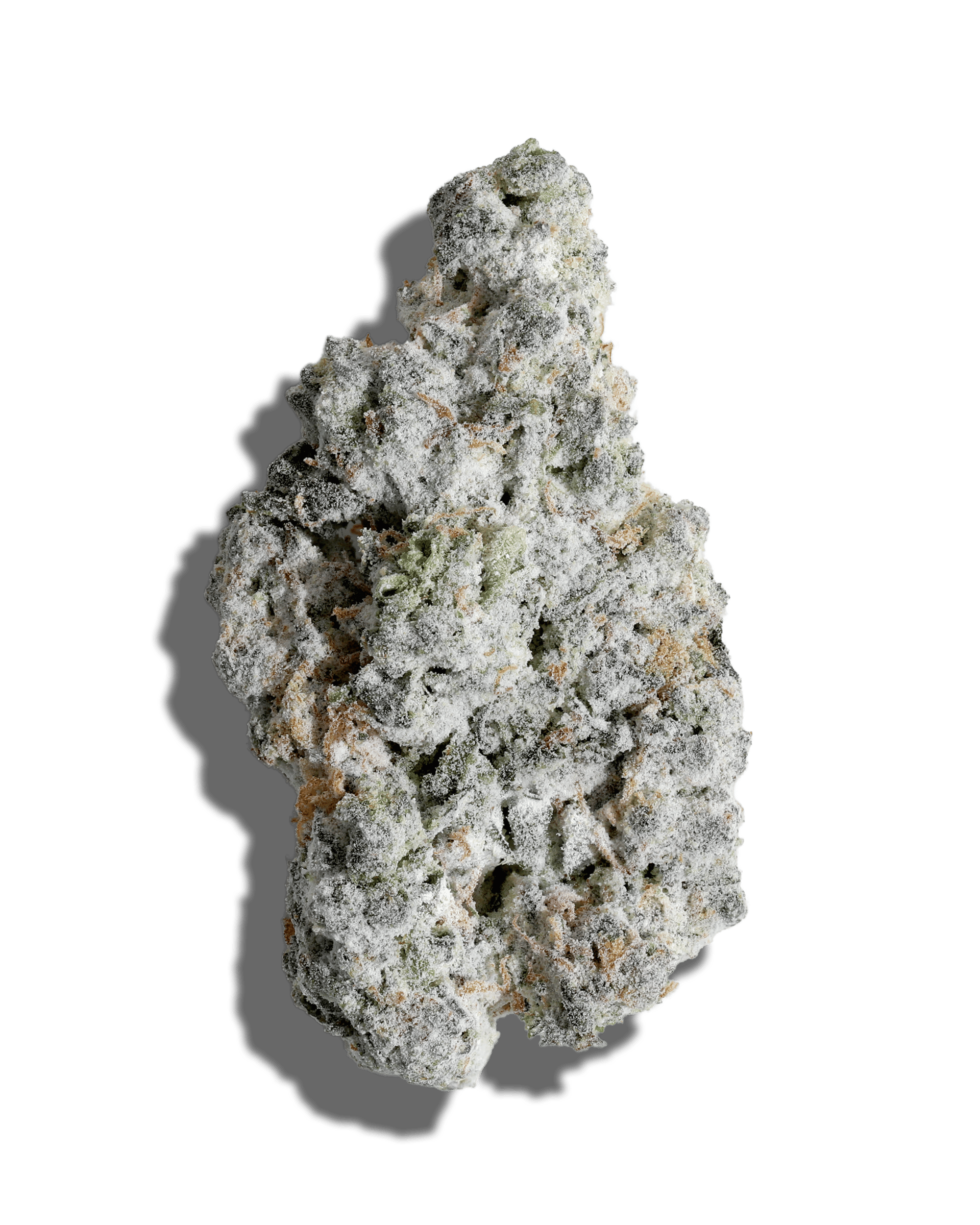 GMO Cookies X Mellowz Amp'd Live Resin Infused Flower 5g