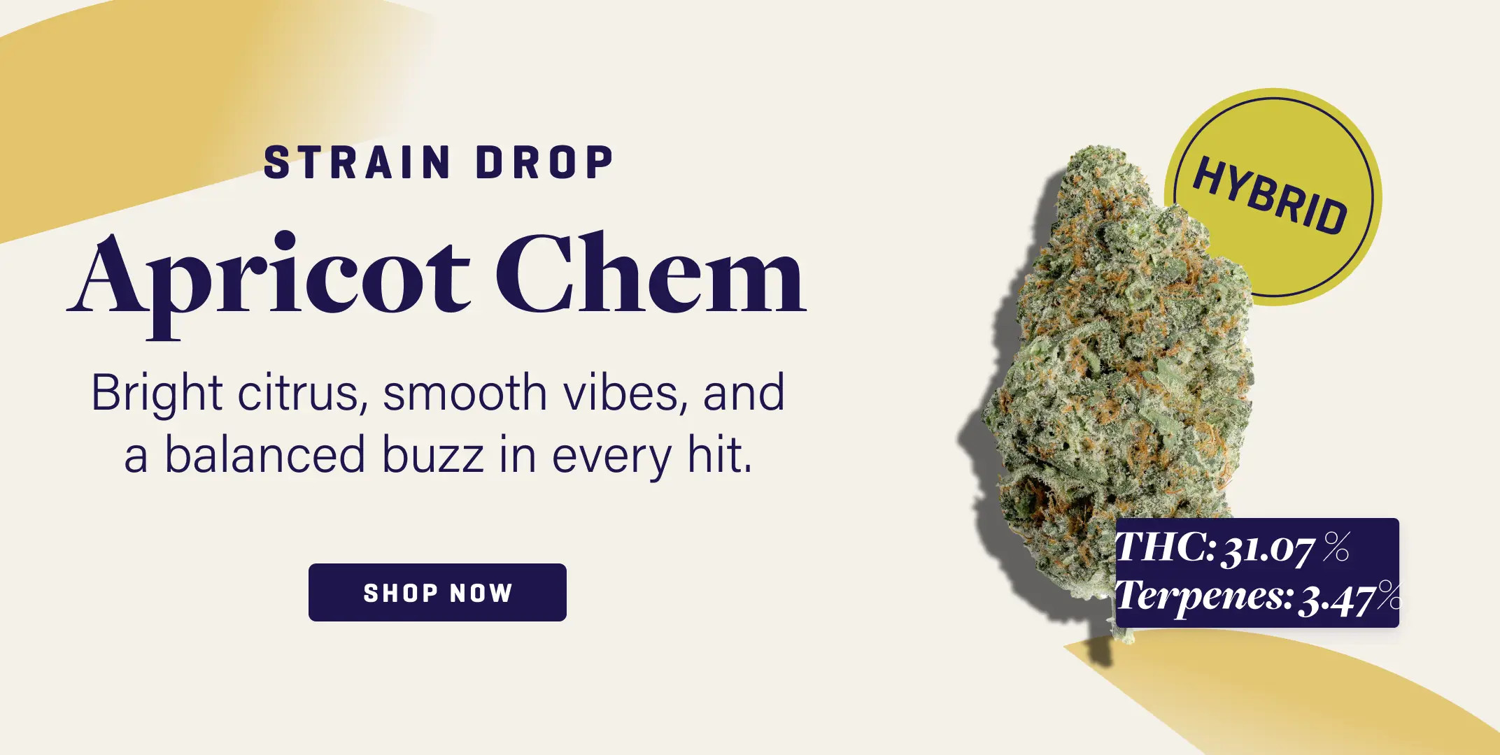 7-22-slimHeroMobile_ApricotChem.webp