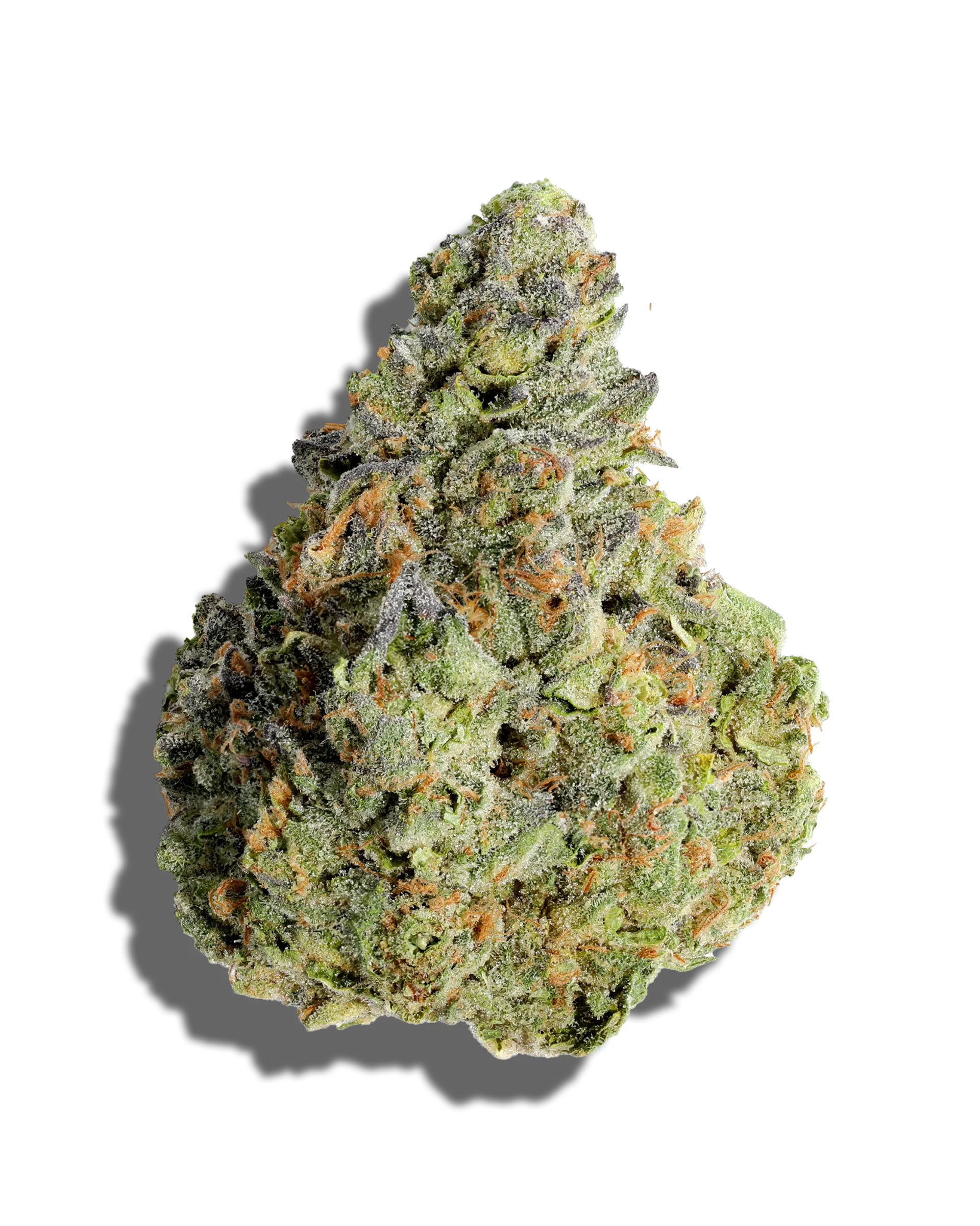 Rainbow Beltz 1oz