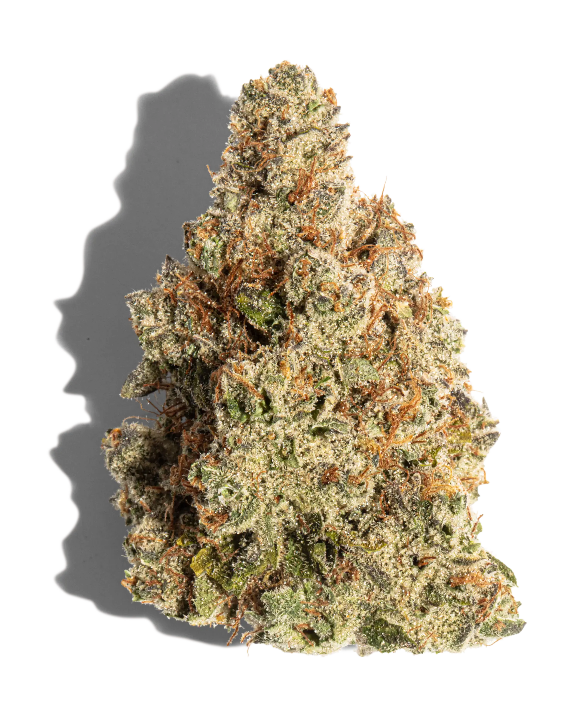 Headmaster Kush Flower