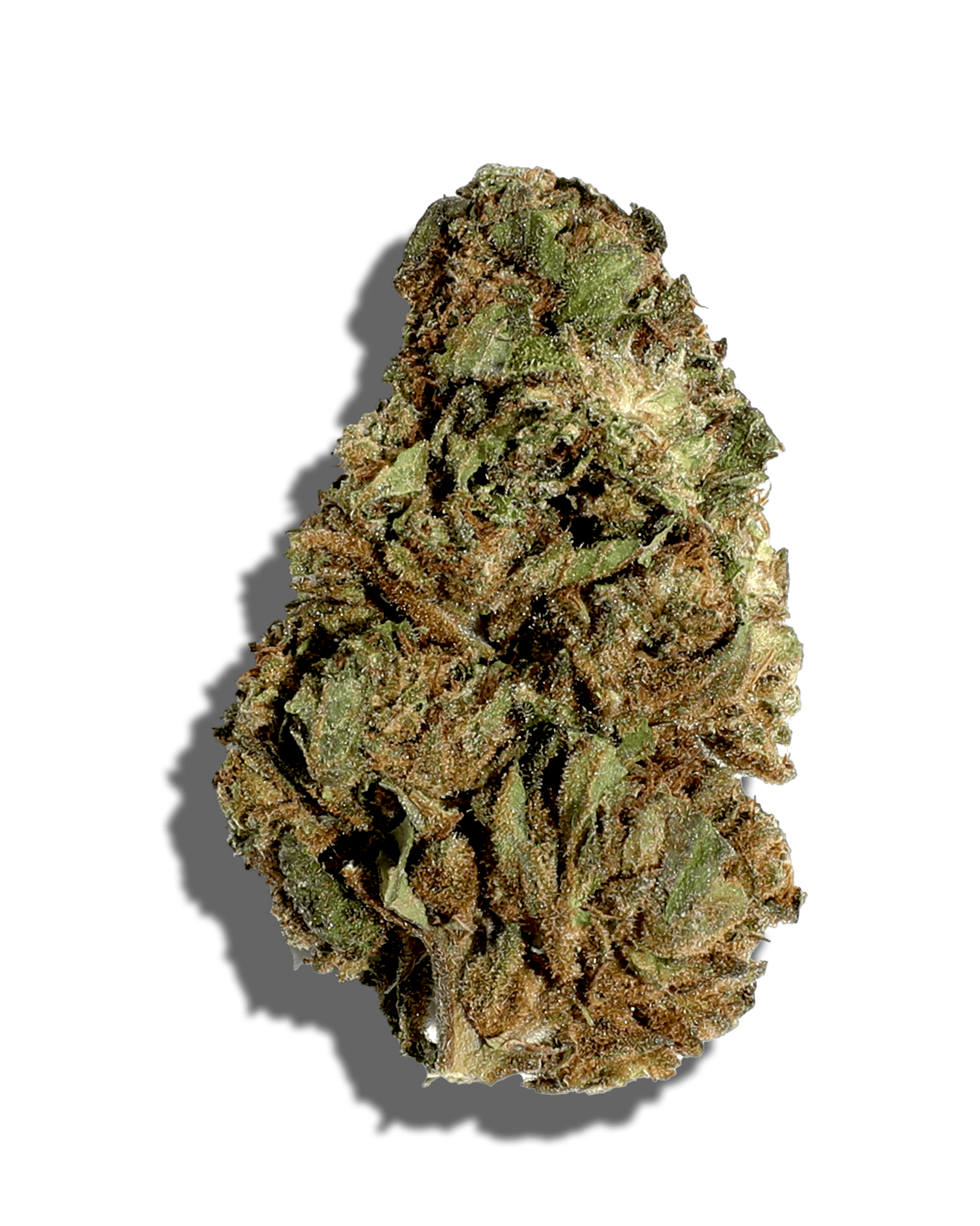 Sungrown Galactic Gas 3.5g