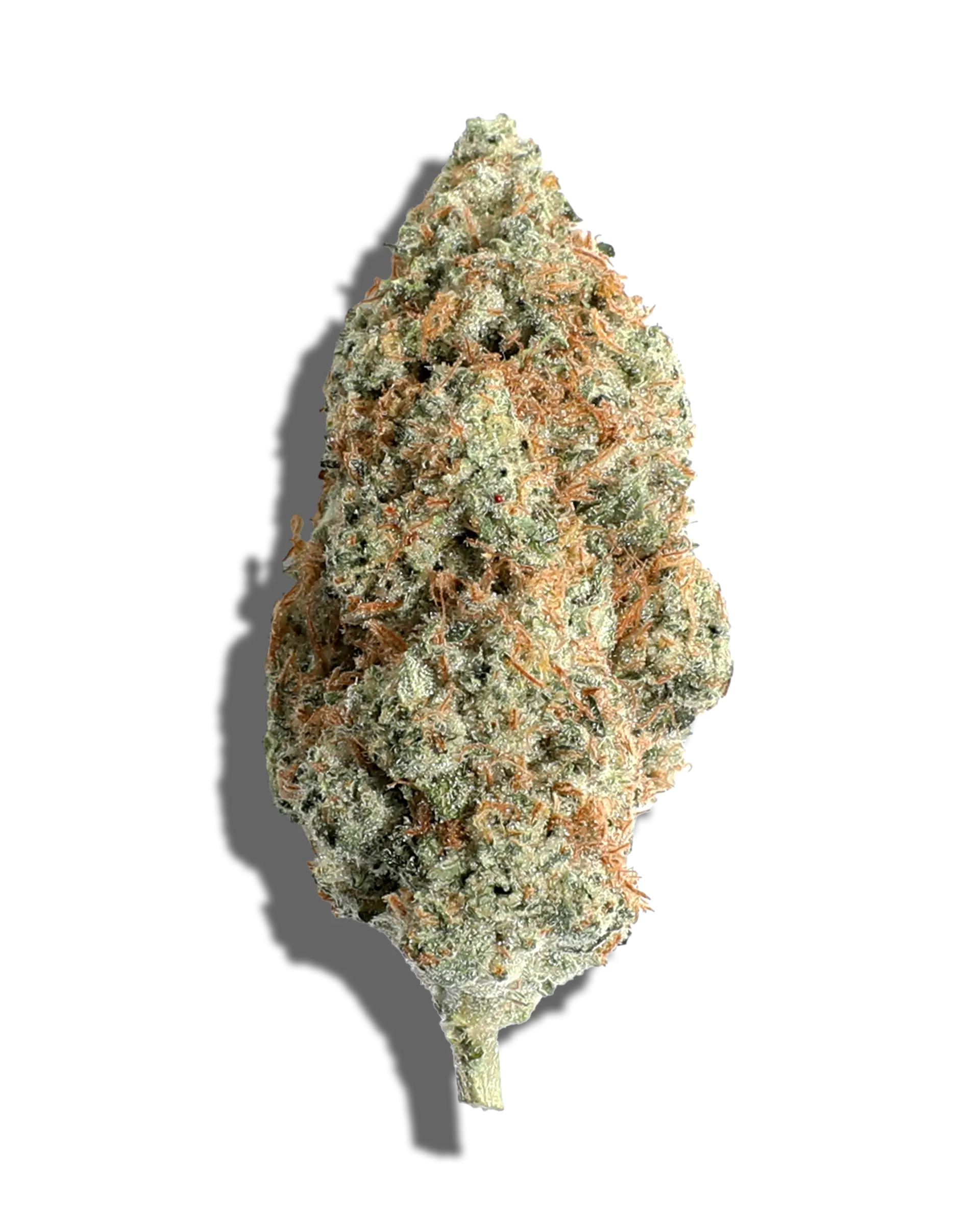 Hawaiian Snowcone 3.5g