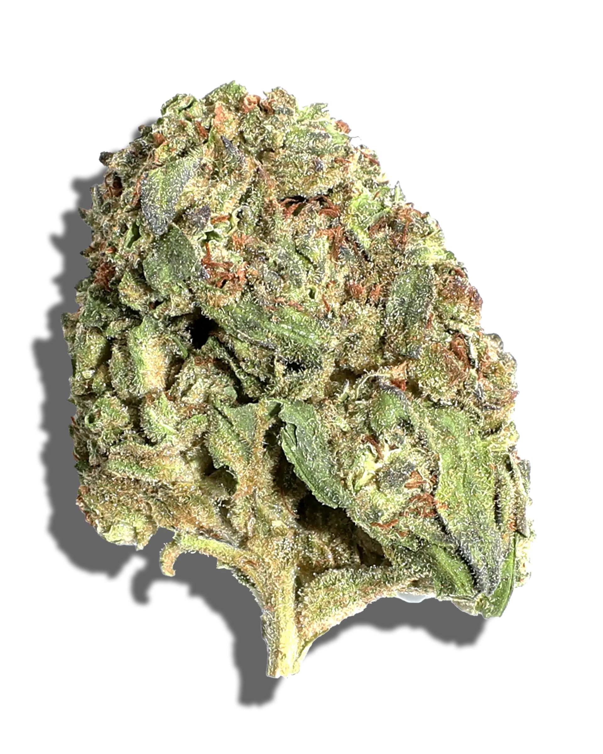 Sungrown Detroit Diesel 1oz