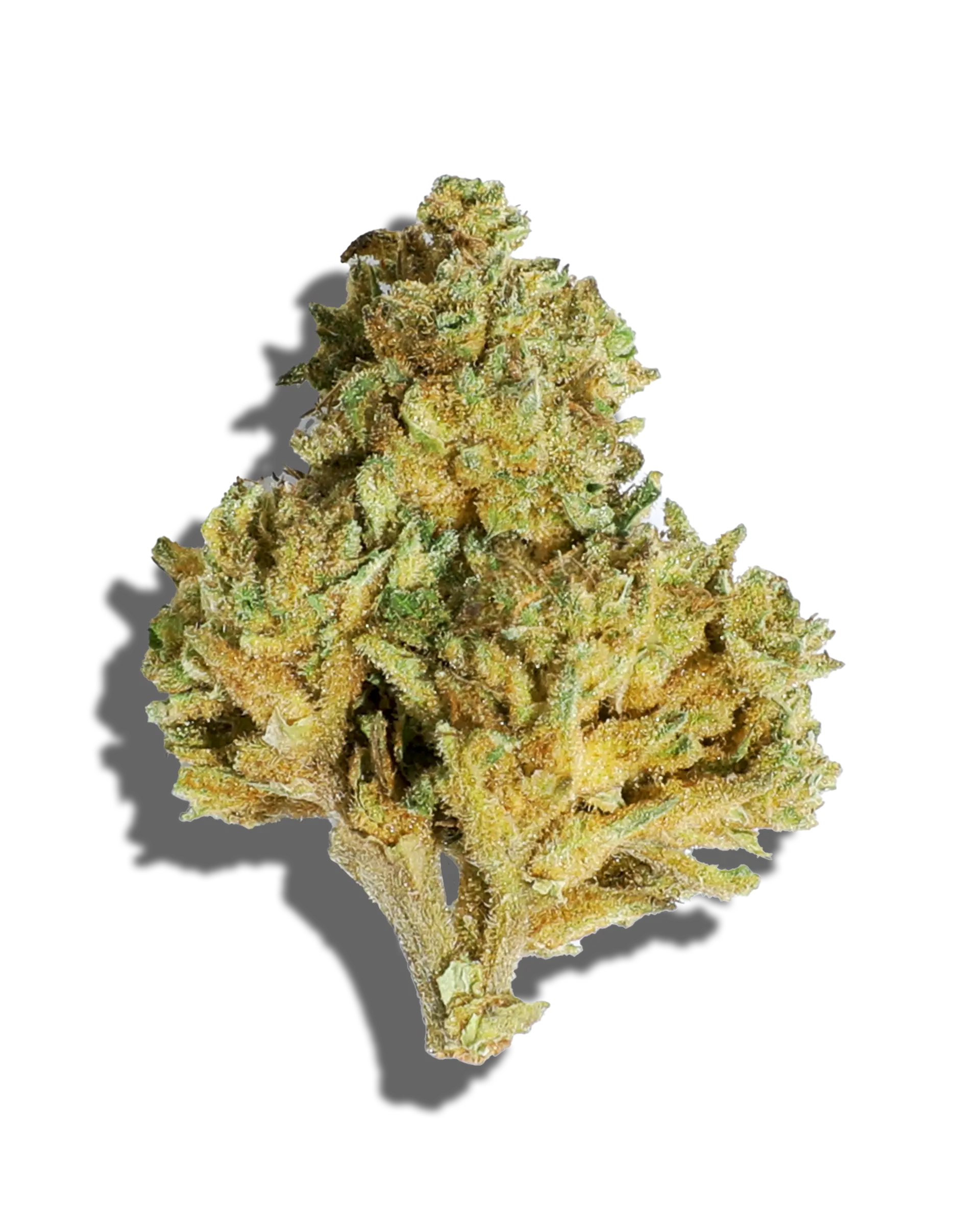 Sungrown Sour Wulff 1oz