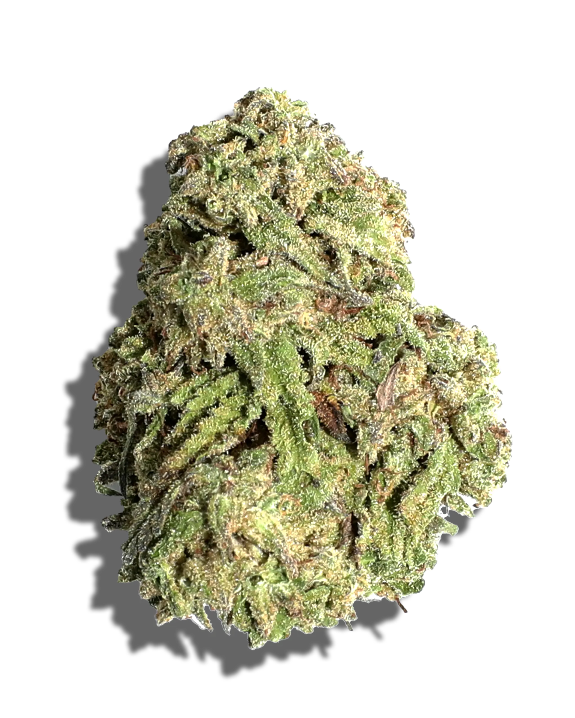 Sungrown Caramel Cream 3.5g