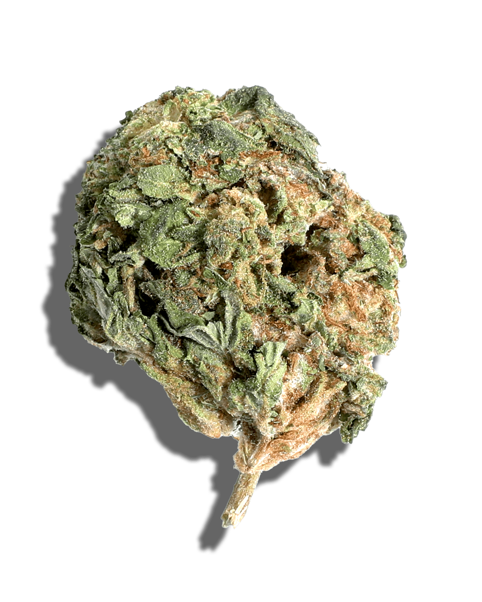 Sungrown Guava Gelato 1oz