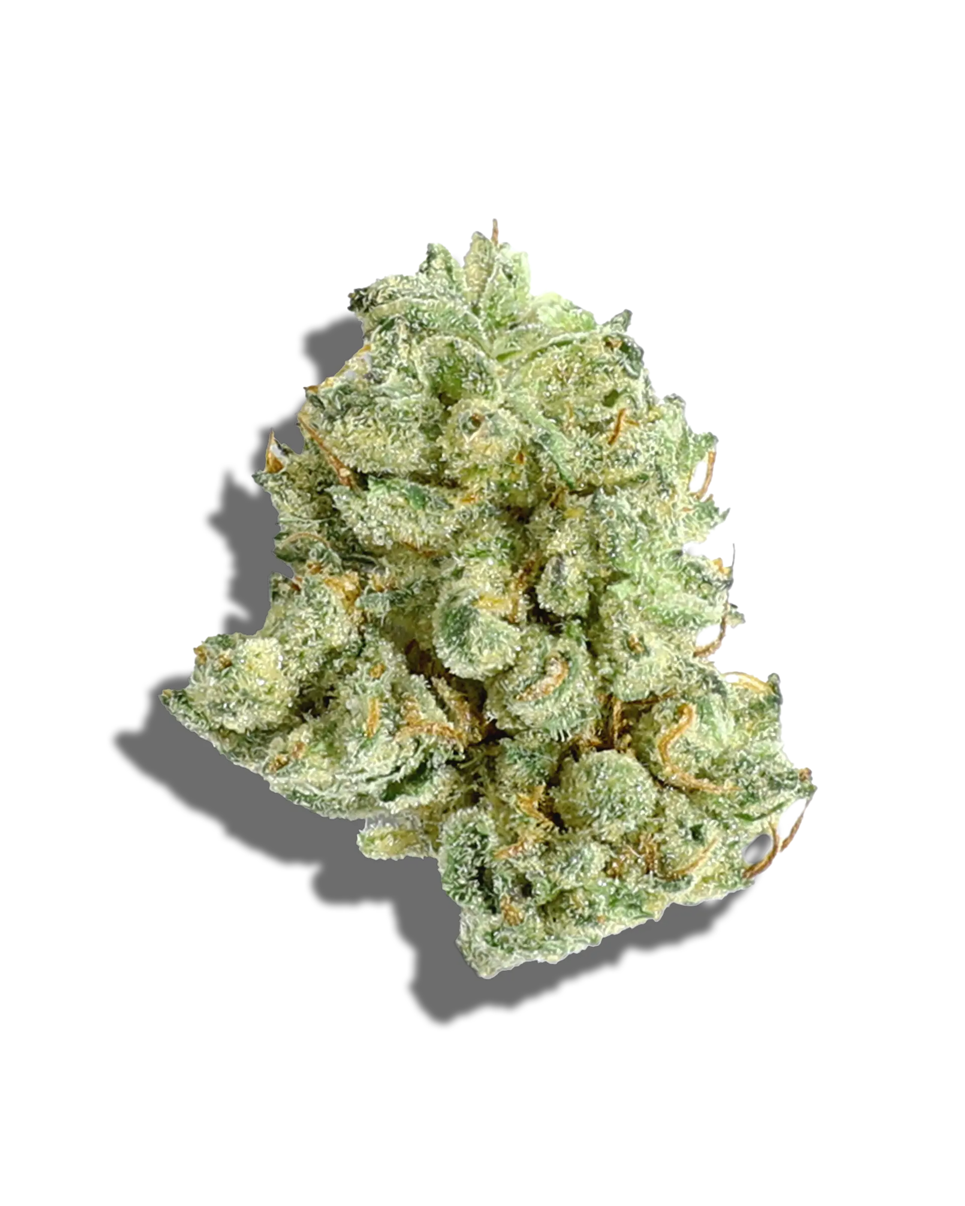Sunkissed GMO 3.5g