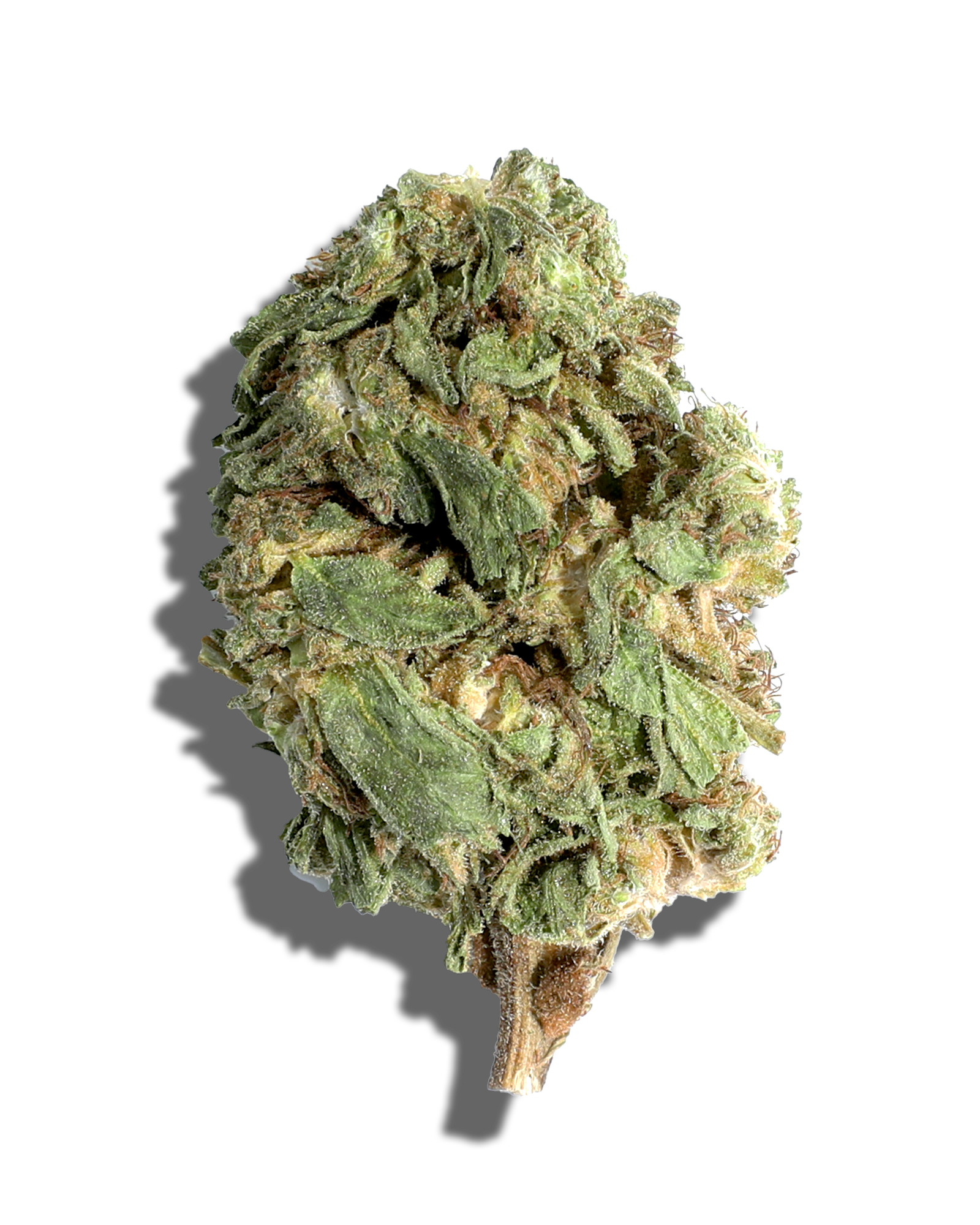 Sungrown Sherbcake 1oz, 1 of 3