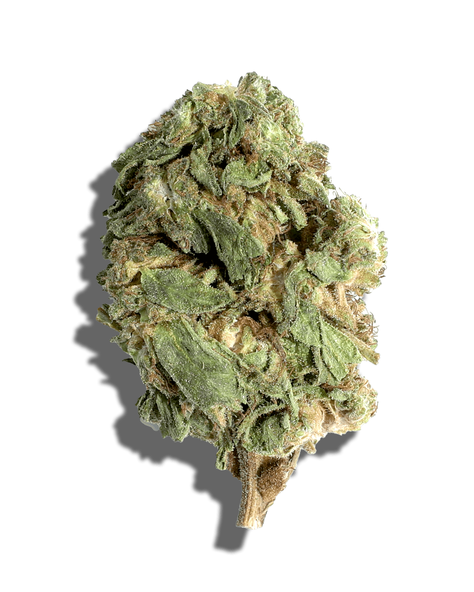 Sungrown Sherbcake 1oz