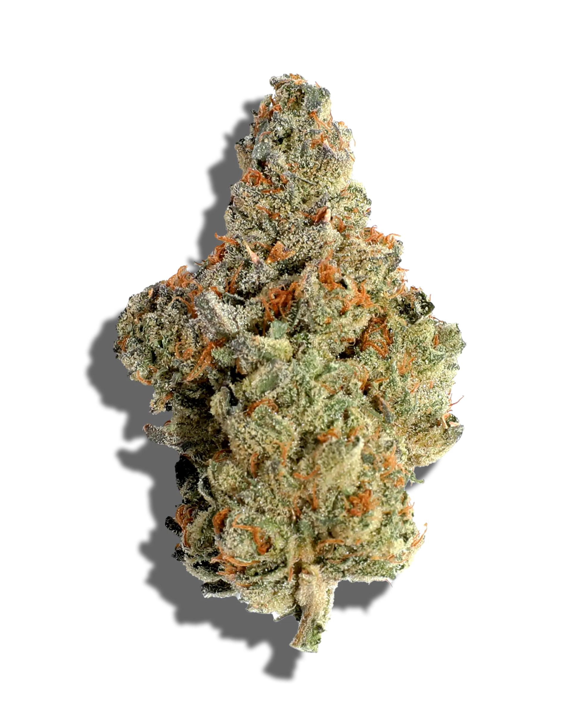 Summertime Sativa 1oz