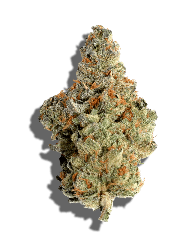 Summertime Sativa harvested flower, as labeled by the cited photo source