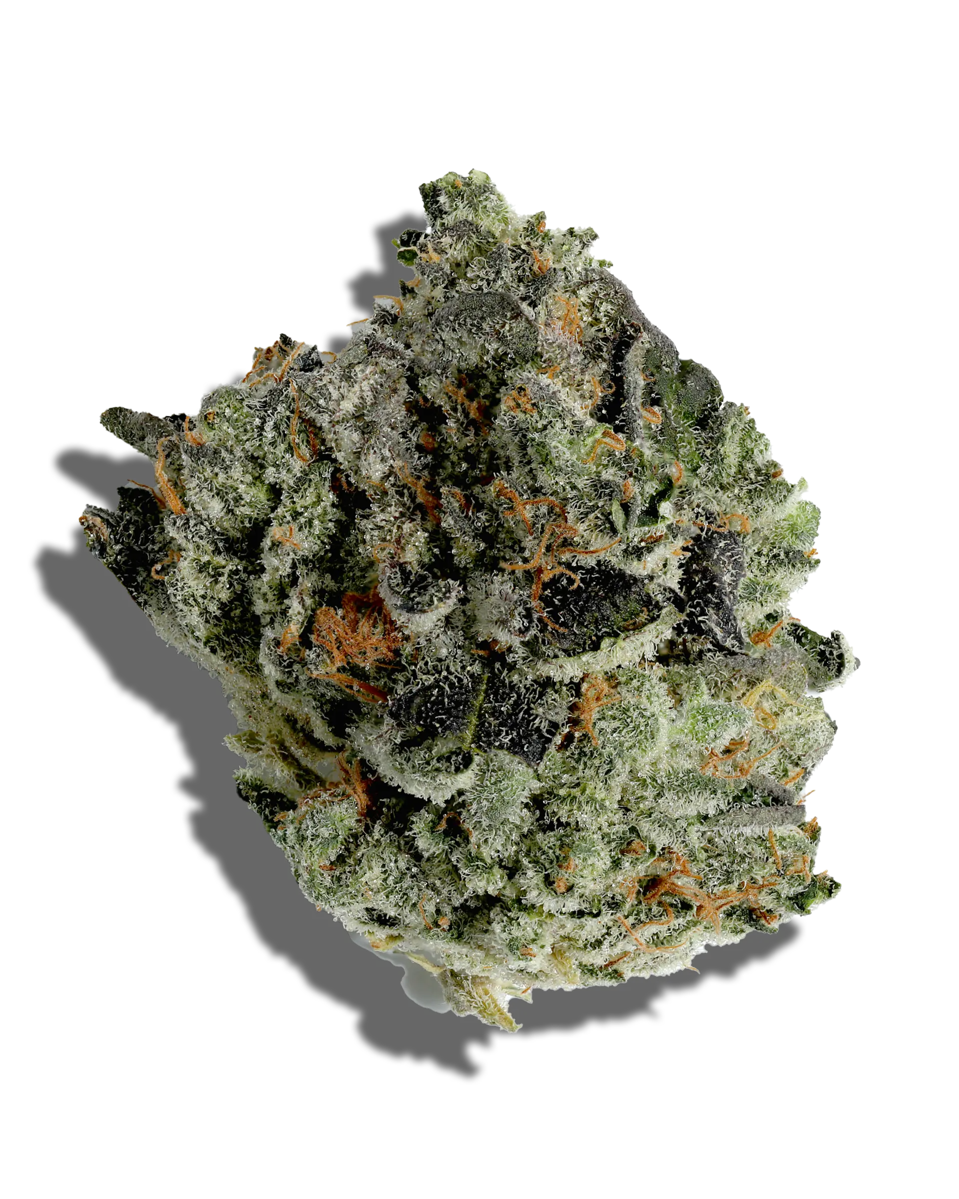 Watermelon Z 3.5g