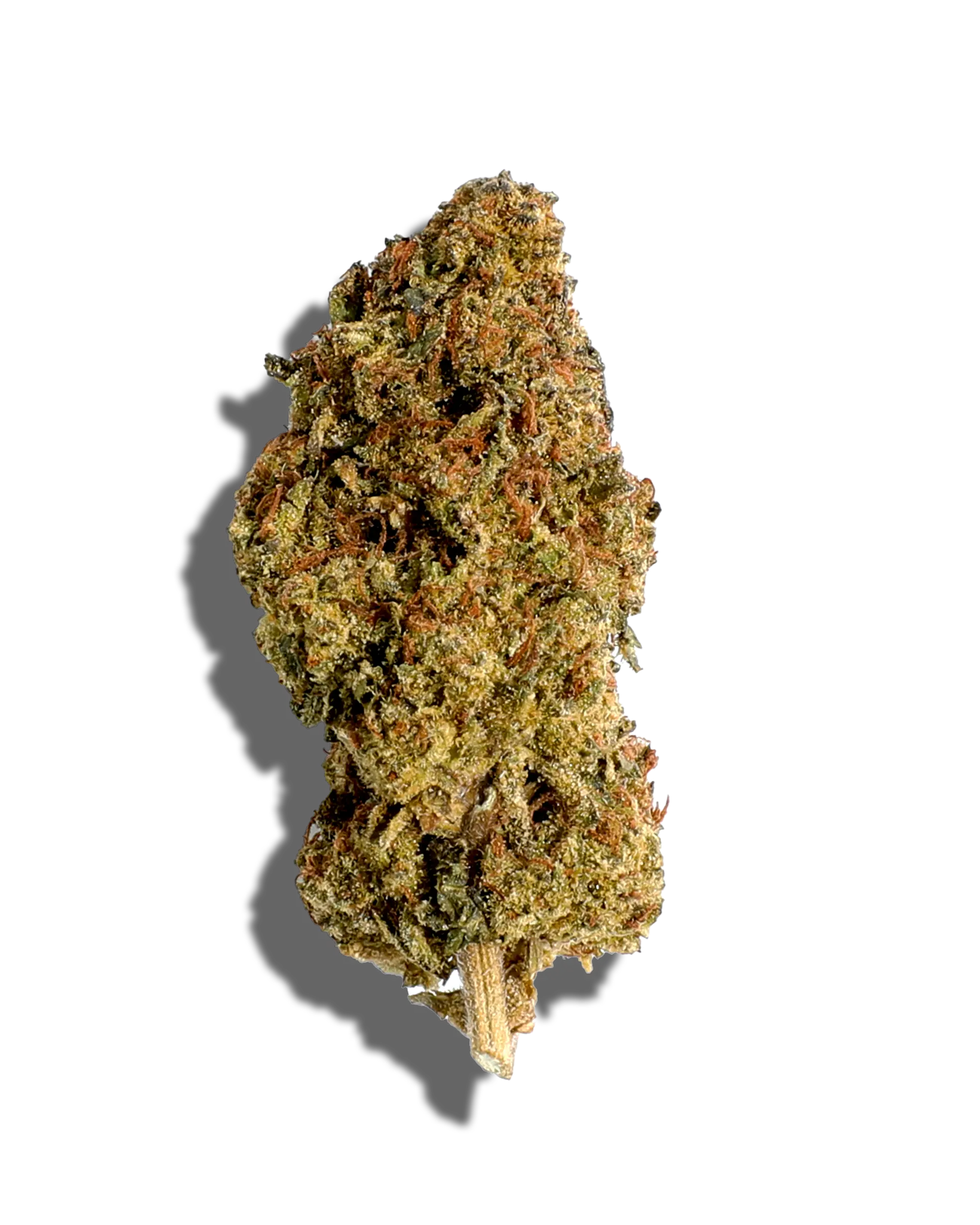 Sungrown Vitamin D 1oz