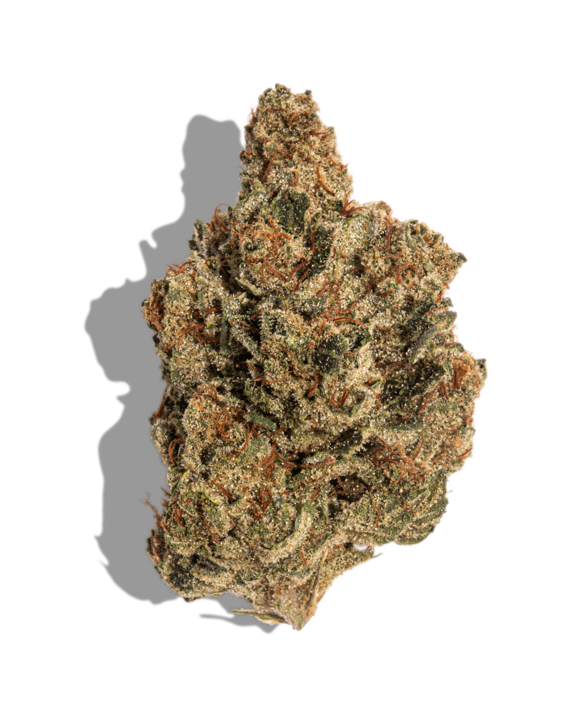 Motorbreath #15 Flower
