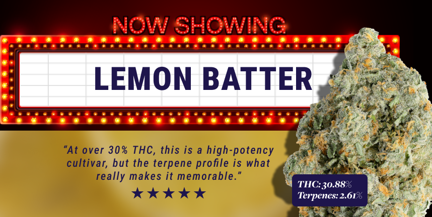 slimHeroMobile_Oz-lemonbatter.png