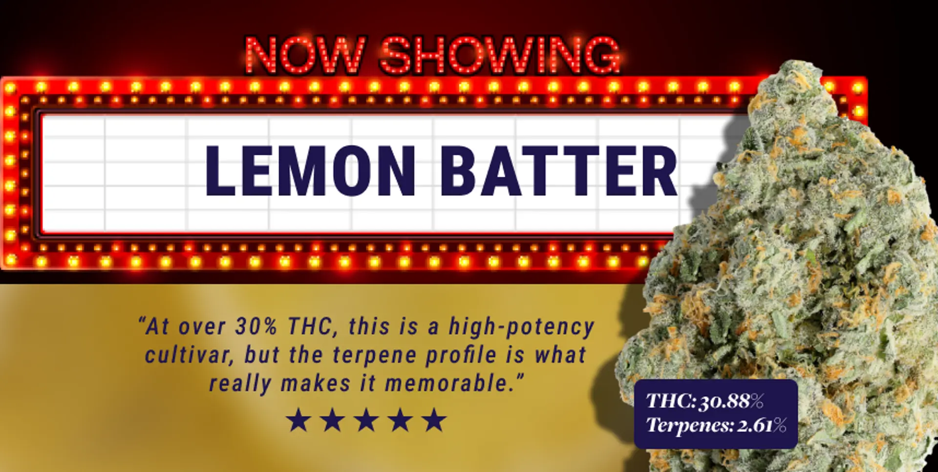 slimHeroMobile_Oz-lemonbatter.png